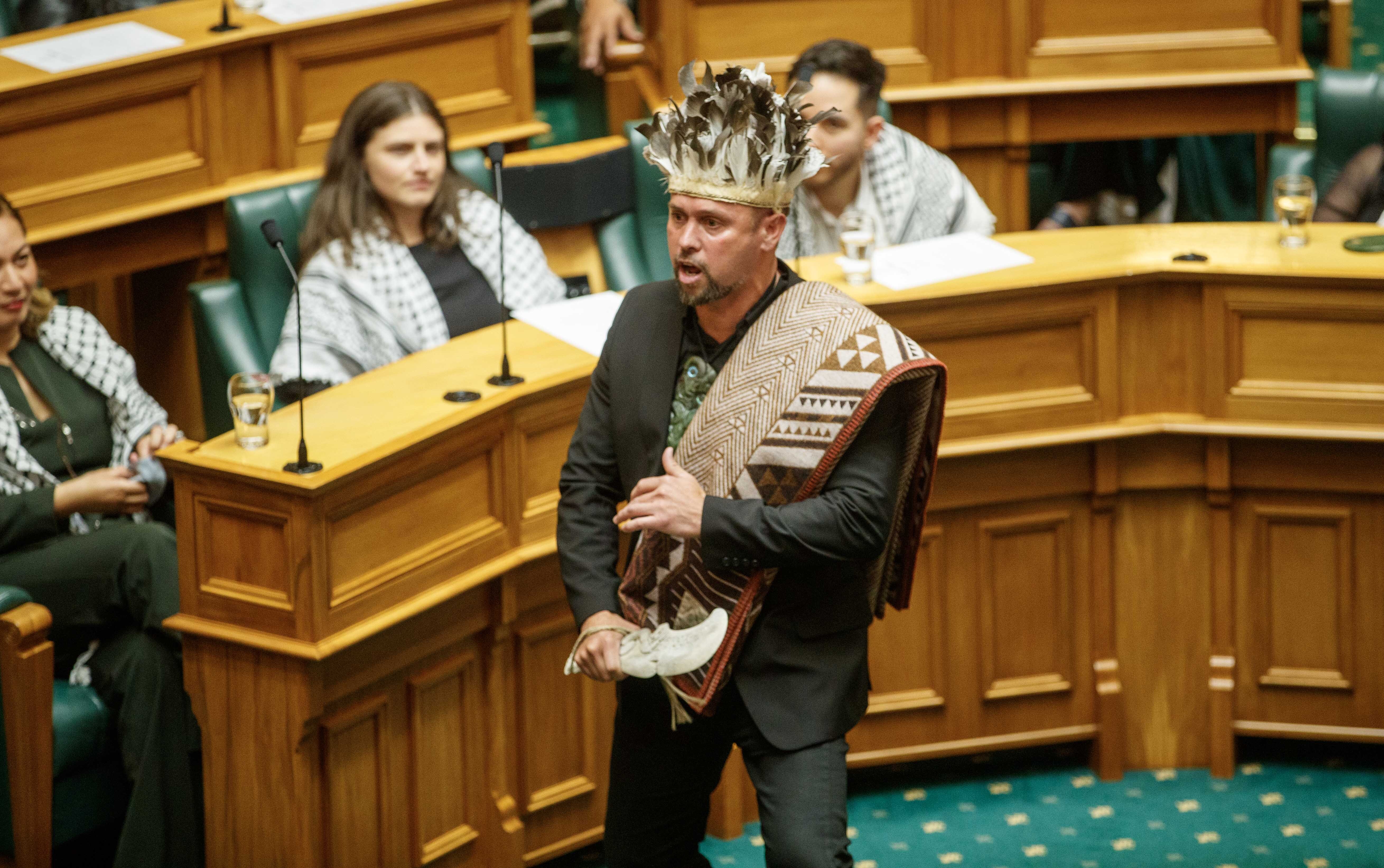 Te Pāti Māori MP Tākuta Ferris in the House during the swearing-in ceremony. Photo / Mark Mitchell. 5/12/23
