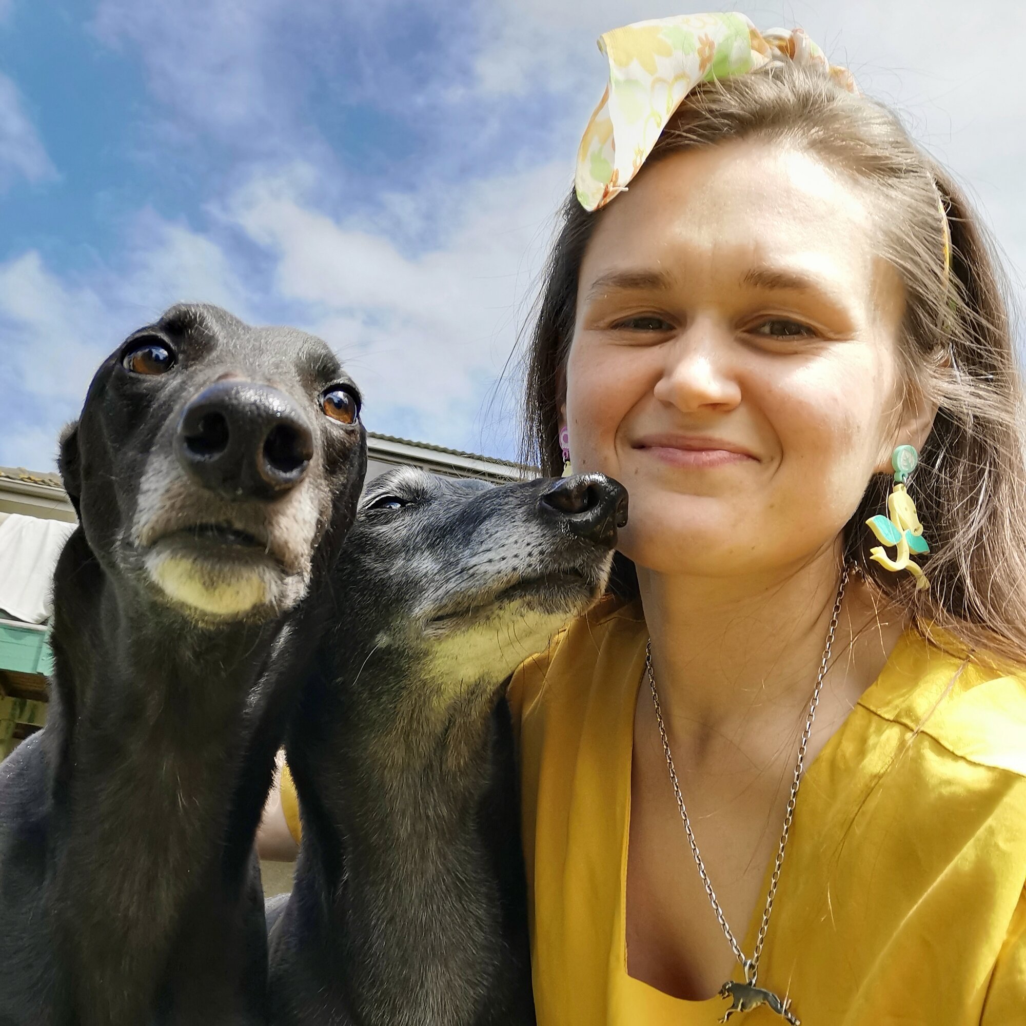 Emily Robertson from the Greyhound Protection League believes GRNZ is emptying the coffers before the ban comes into effect on August 1.