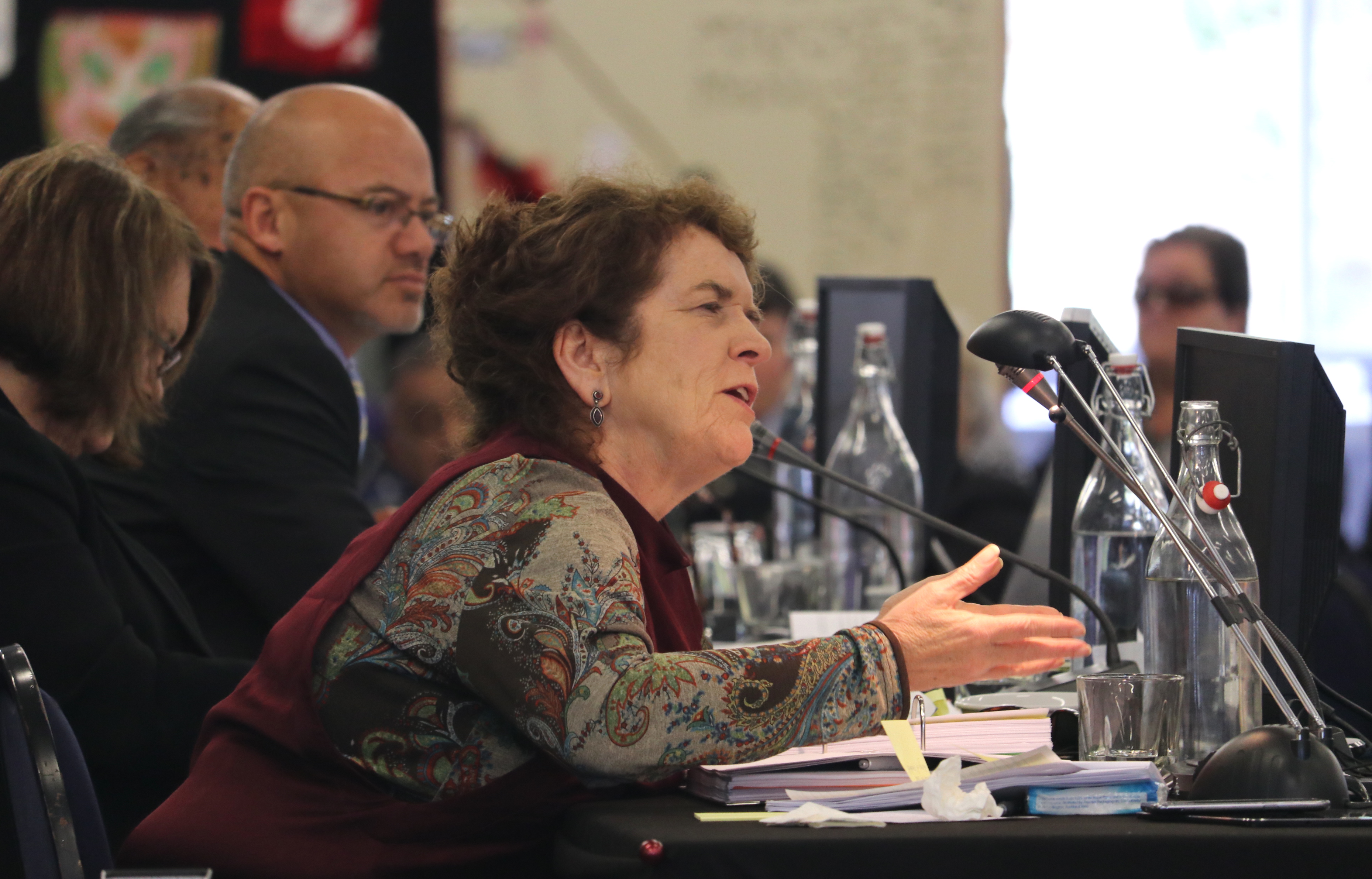 Historian and former Waitangi Tribunal member Robyn Anderson grills one of the Crown lawyers during the Northland inquiry in 2017. Photo / Peter de Graaf

