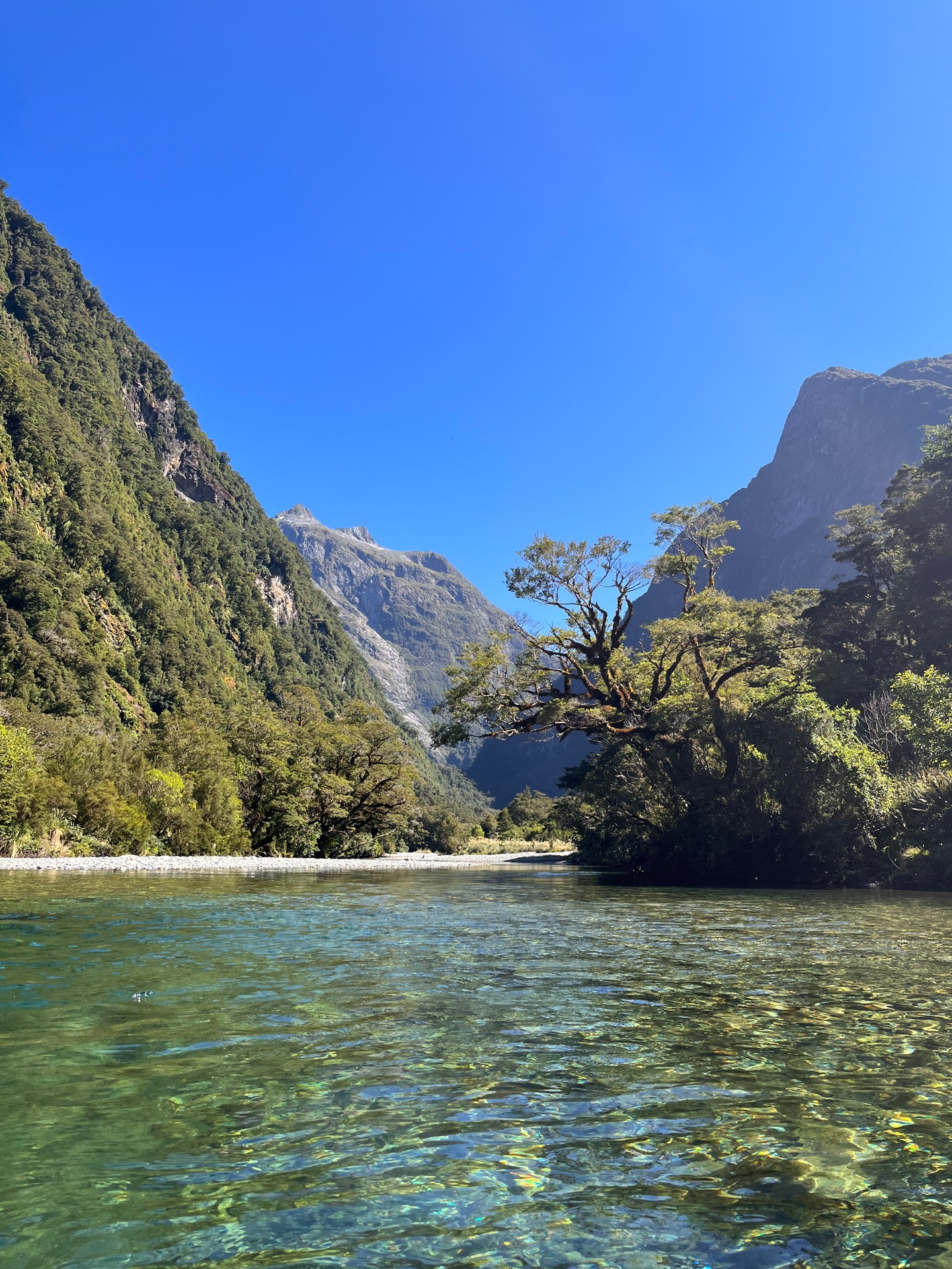 The view upstream from Dumpling Hut, the Milford Hut. Photo / Thomas Bywater for Travel