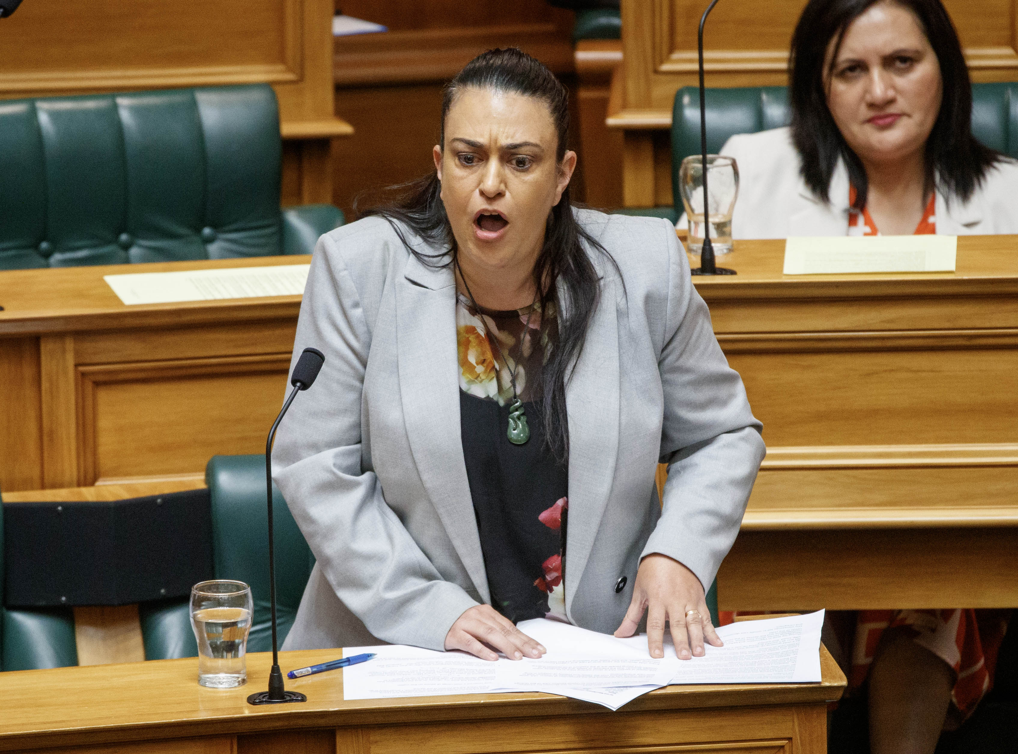 Children Minister Karen Chhour during Question Time in Parliament. Photo / Mark Mitchell  