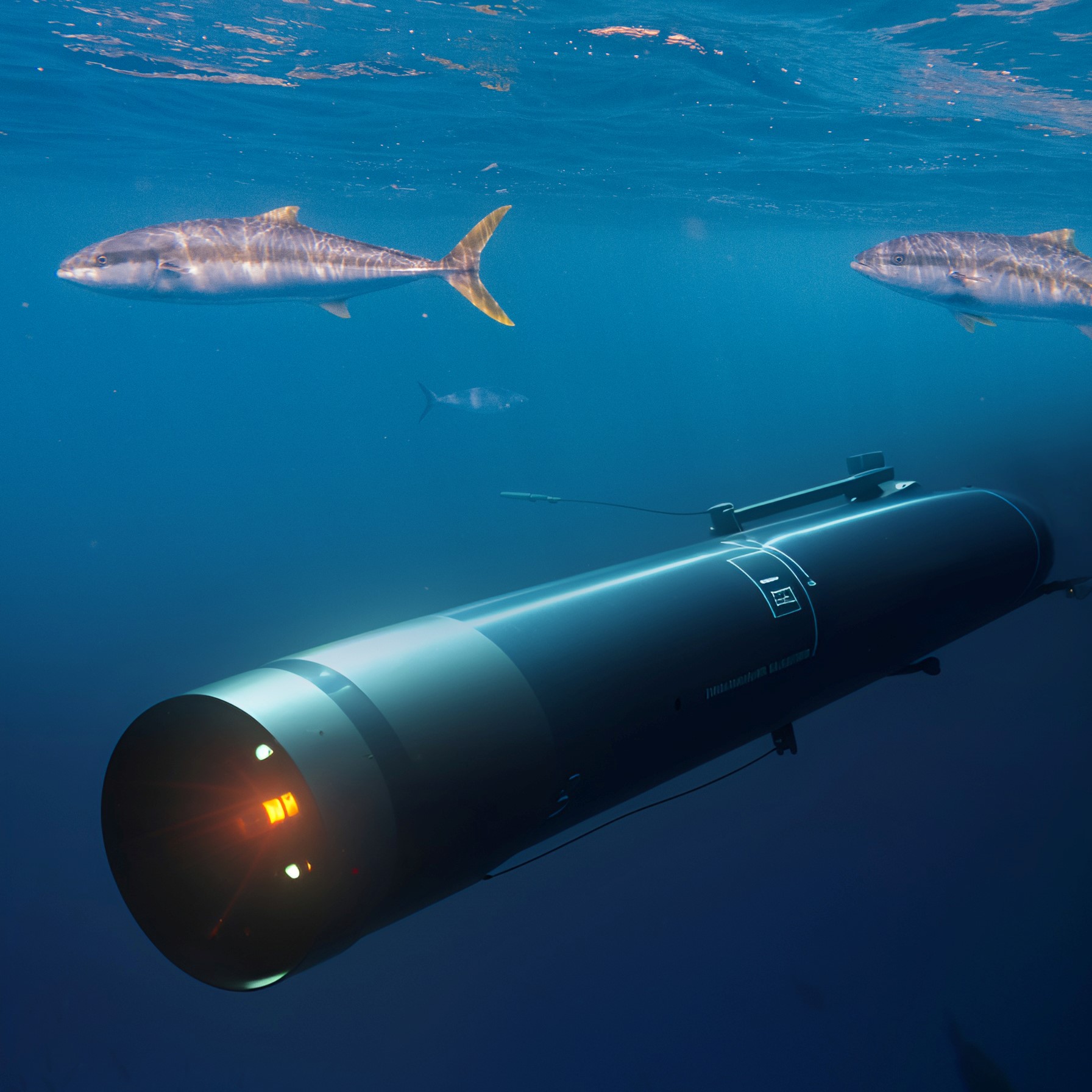 In this image, an autonomous underwater drone gathers data in a 2173 Hauraki Gulf. Image / Shaun Lee