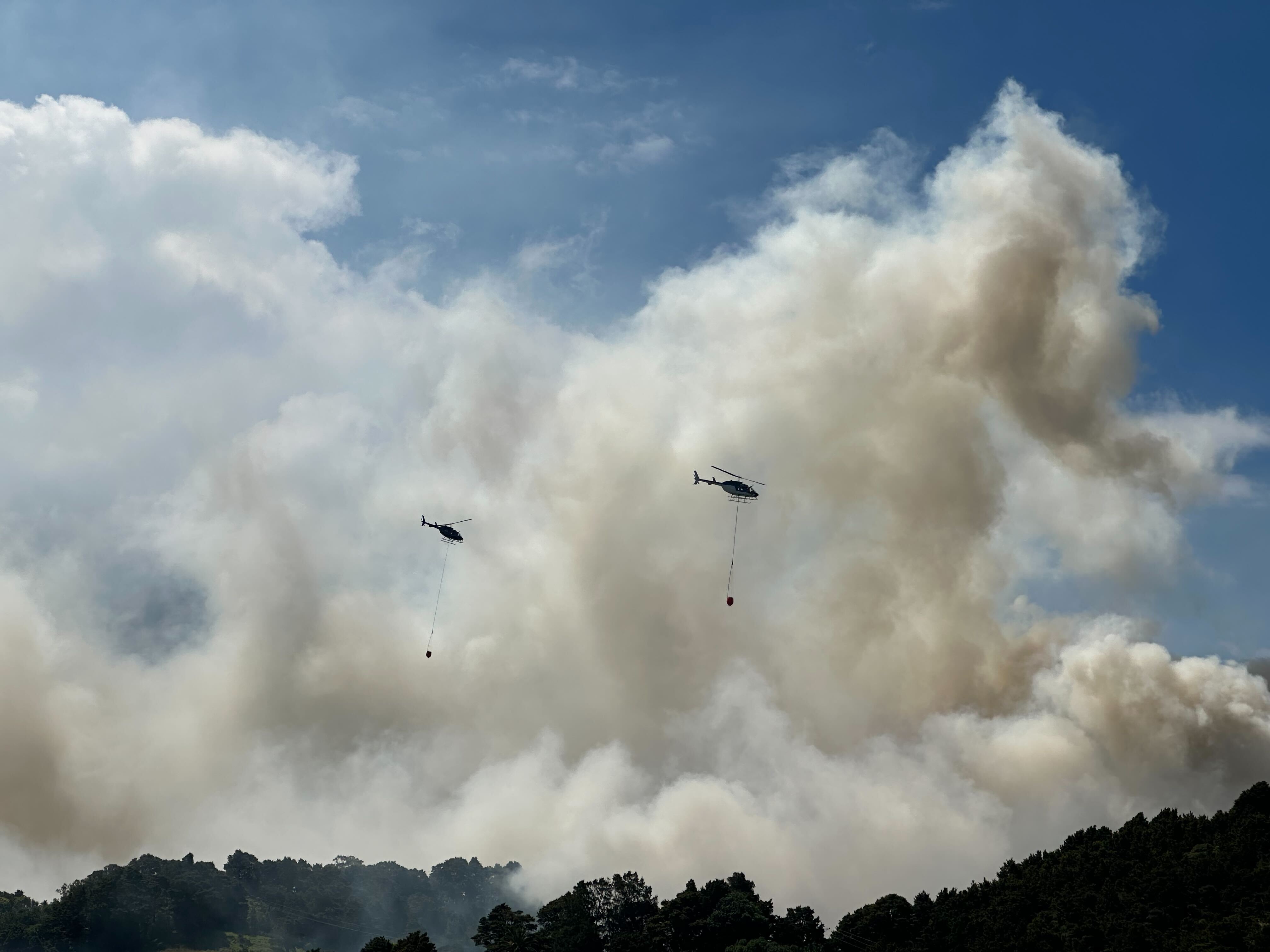 A large vegetation fire broke out on Whangārei Heads Rd between Onerahi and Tamaterau. Photo / Rachel Maher