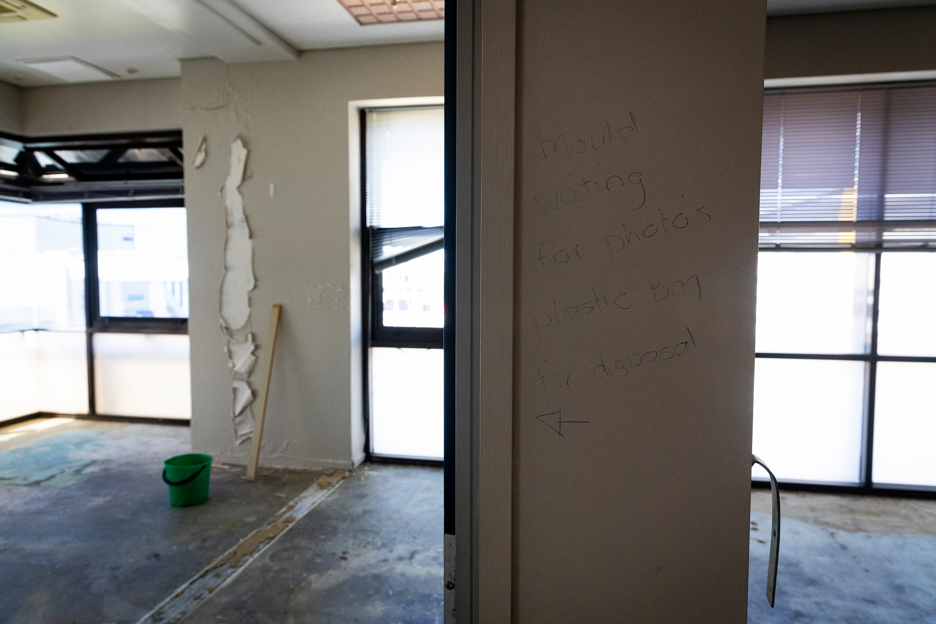 One of the office spaces inside Tauranga City Council's first floor, seven years since it was evacuated due to black mould. Photo / Andrew Warner