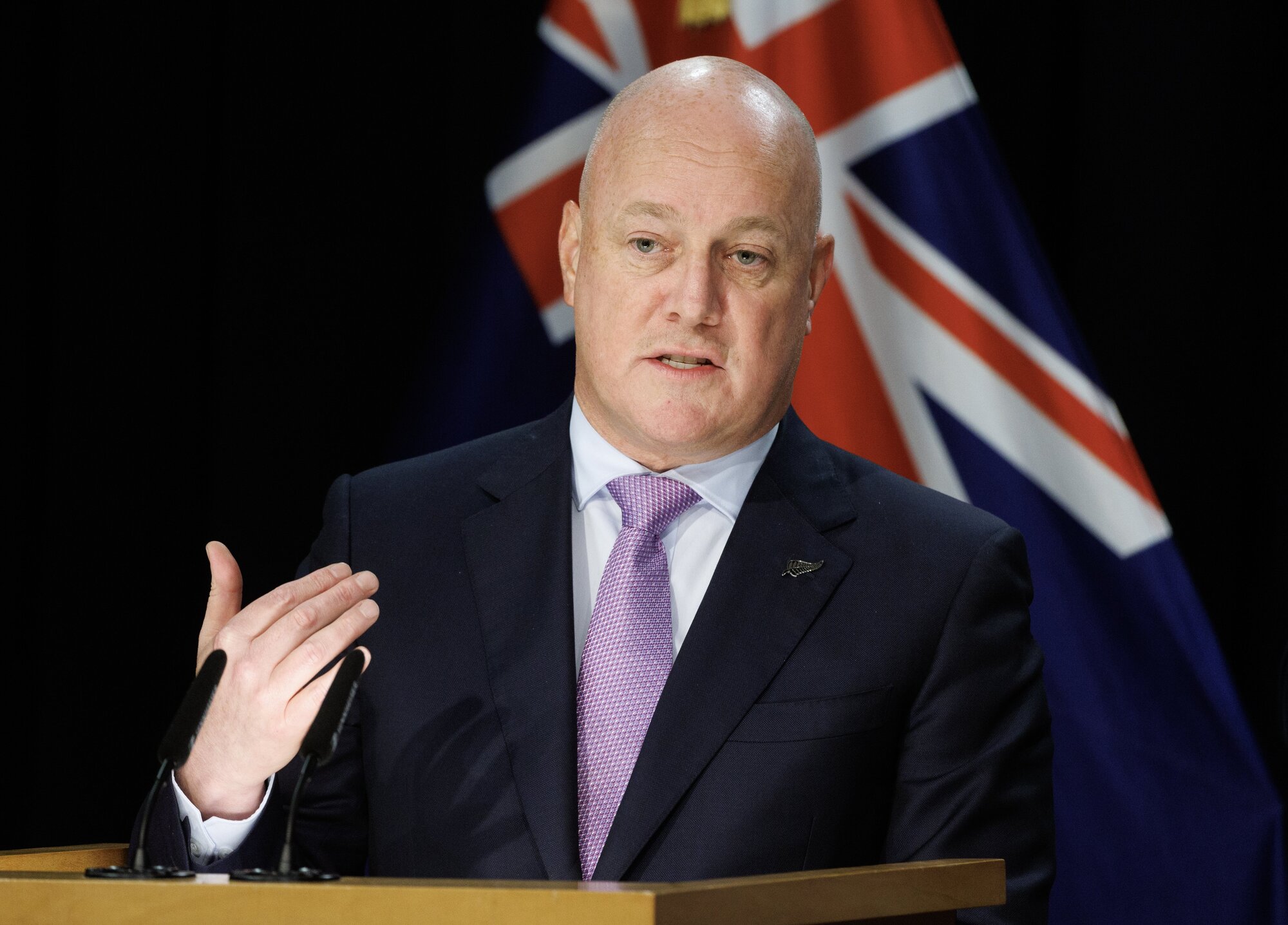 Prime Minister Christopher Luxon. Photo / Mark Mitchell






