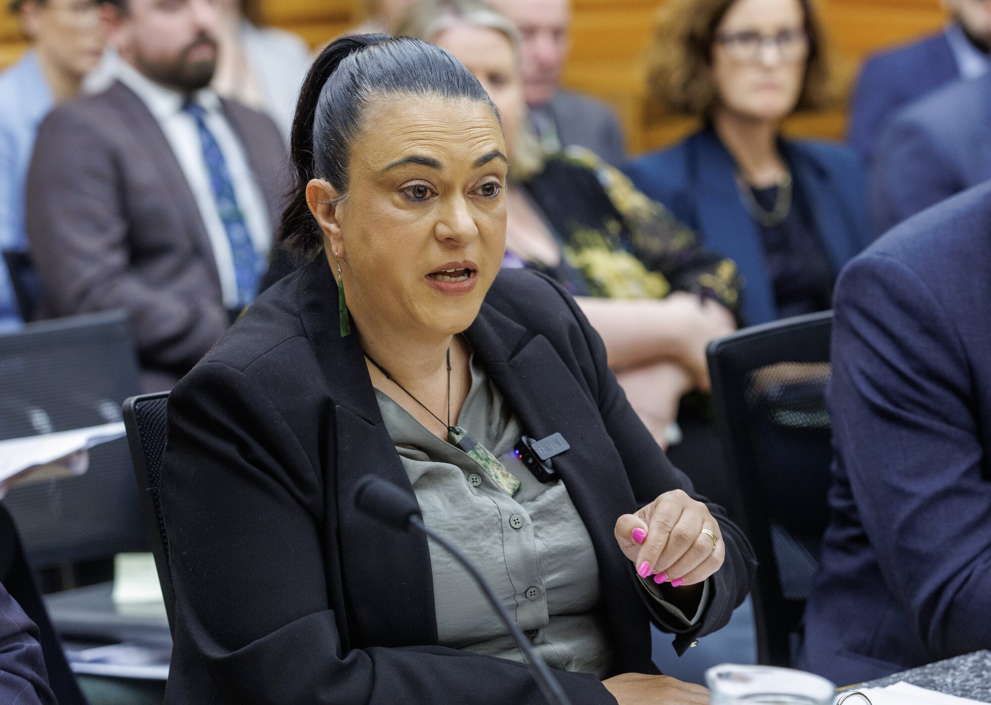 Children's Minister Karen Chhour wanted more information from Willow-Jean Prime. Photo / Mark Mitchell