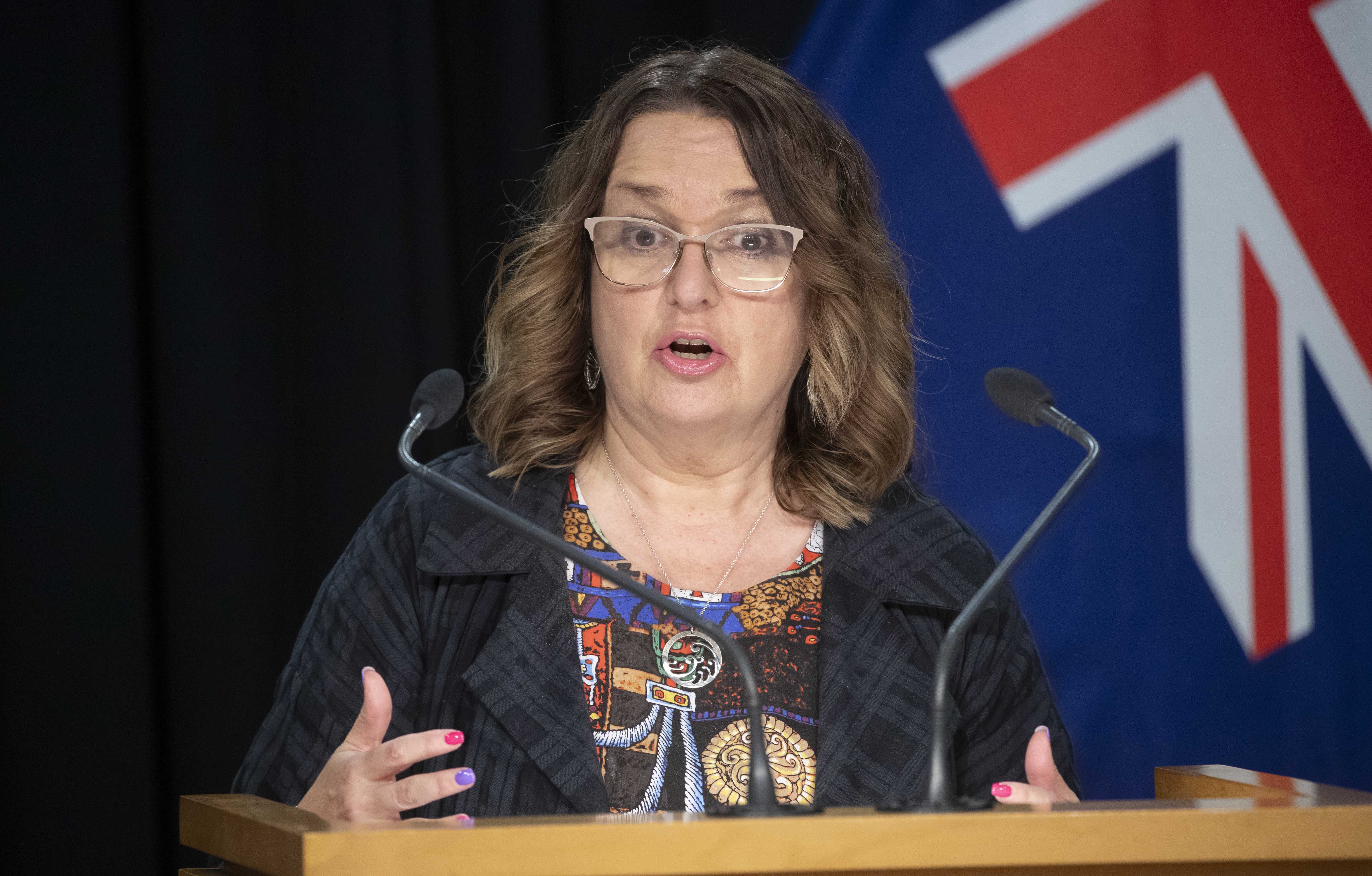 Education Minister Jan Tinetti says guidance will be given to teachers on how to implement the new requirements. Photo / Mark Mitchell