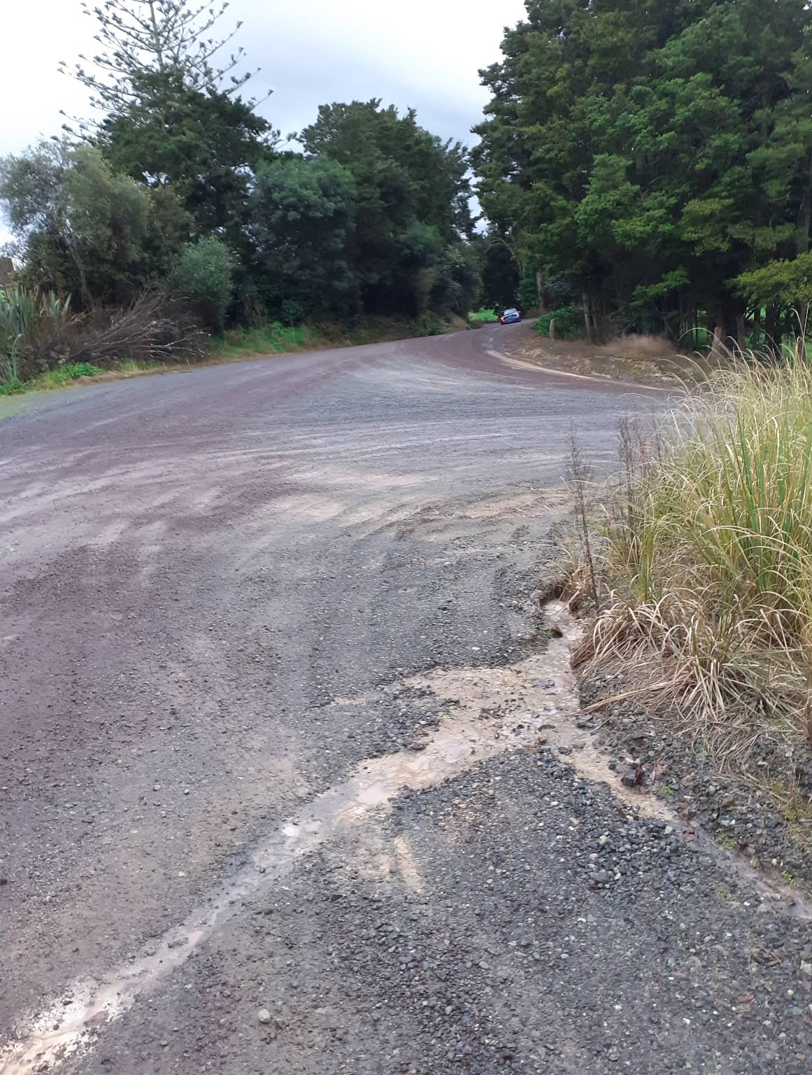 Maromaku resident Sandra Goddard claims her car can't pass a WOF test thanks to the condition of Towai and Maromaku Rds. Photo / Sandra Goddard