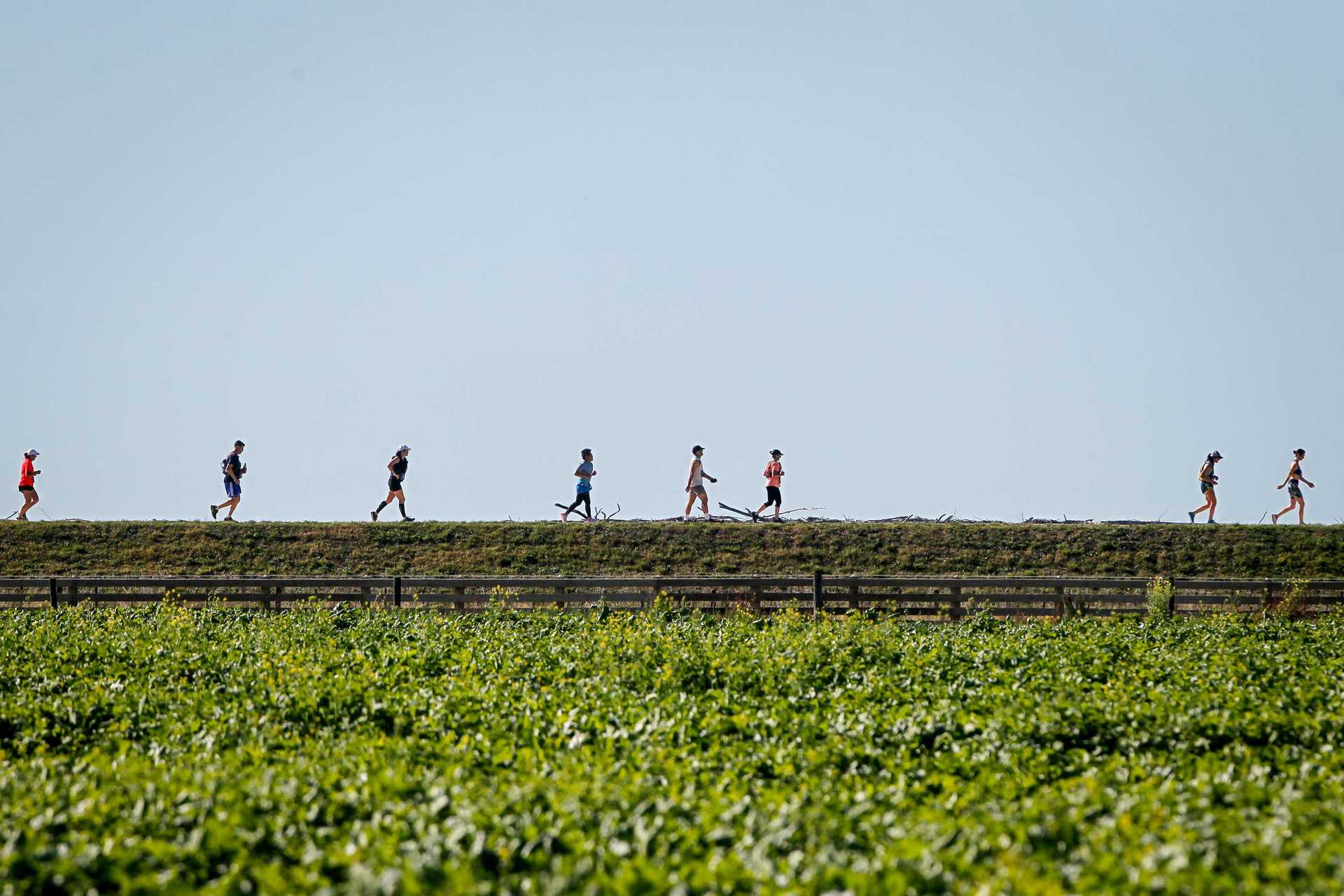 Competitors take on the route during last year's Hawke's Bay Marathon. Photo / NZME