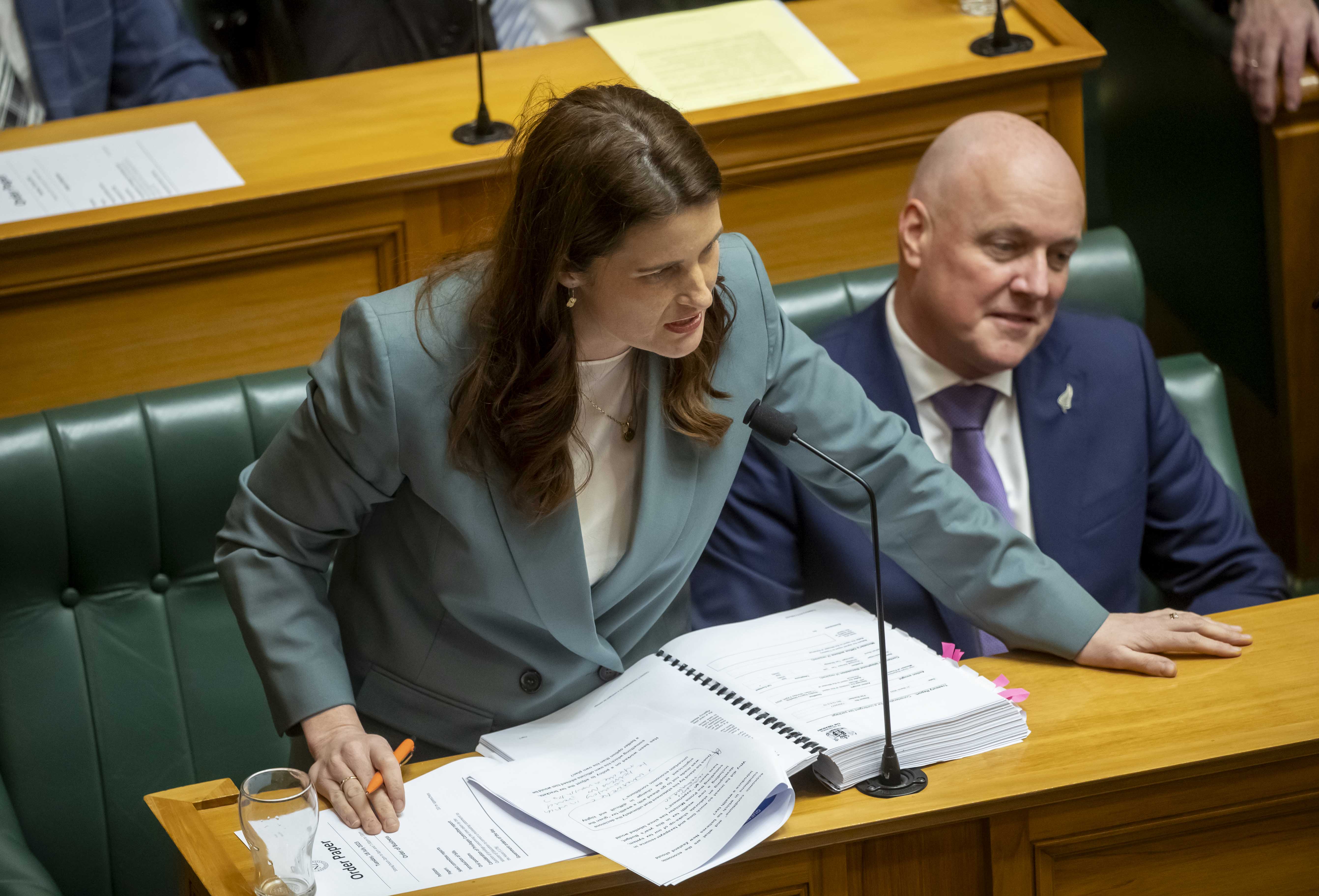 National's finance spokeswoman Nicola Willis' claims she'd been leaked the policy have turned out to be true. Photo / Mark Mitchell