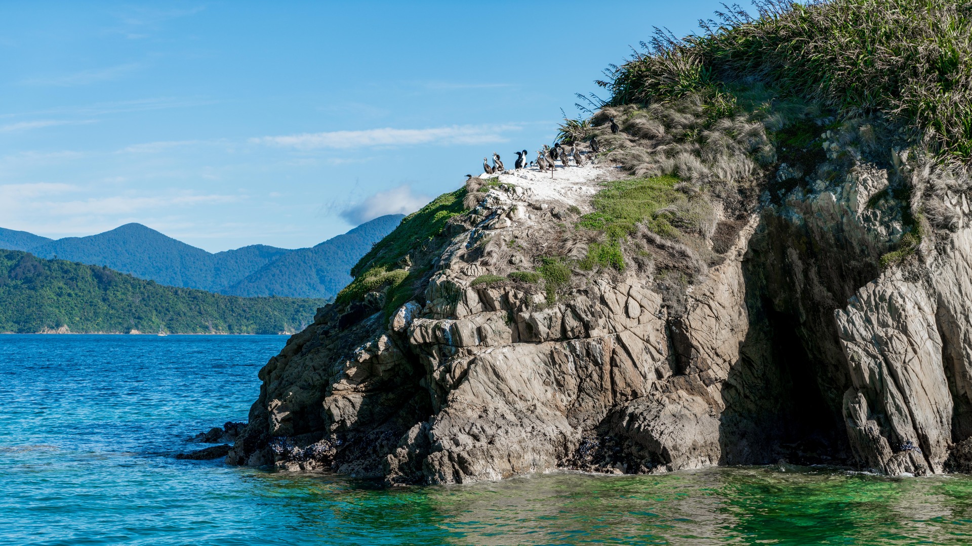 NZ-based operators such as Marlborough's E-Ko Tours are both award-winning and certified responsible. Photo / Supplied