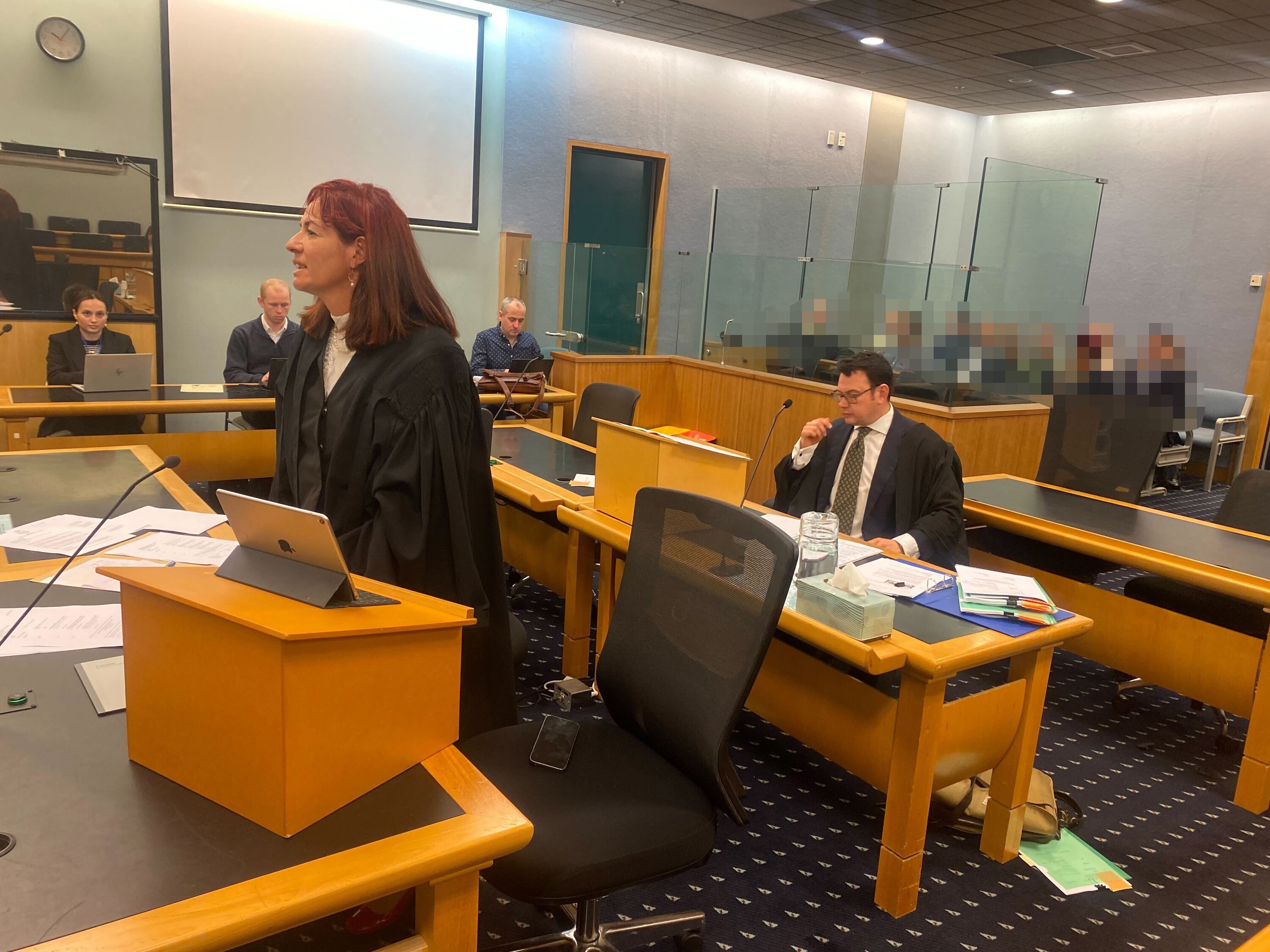  Tana’s lawyer, Sharyn Green (on her feet, left), and Tim Smith, lawyer for the respondents, who include Chlöe Swarbrick, in the High Court at Auckland on Thursday morning. Photo / George Block