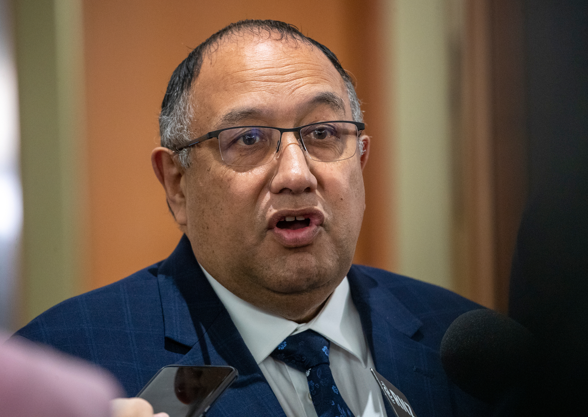 Adrian Rurawhe has been in Parliament for three terms. Photo / Mark Mitchell