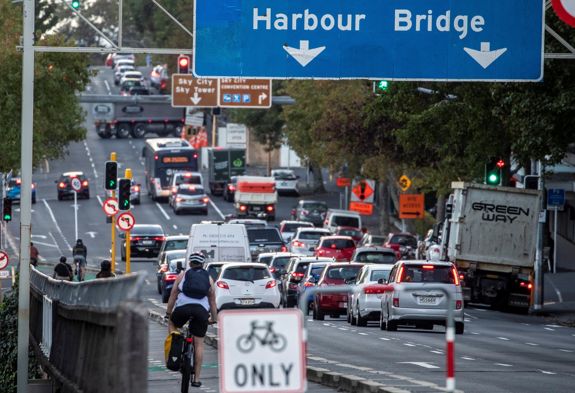 Auckland Council's Climate Plan aims to halve greenhouse gas emissions by 2030. Photo / Michael Craig
