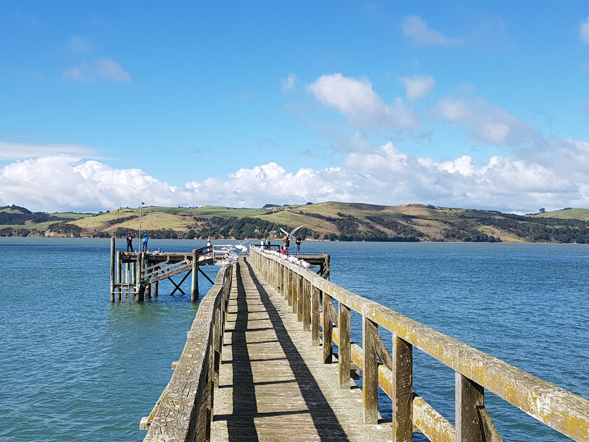 A $100 million fund to clean up the Kaipara Harbour - including at Tinopai, above - has been welcomed by organisations from around the largest harbour in the Southern Hemisphere.
