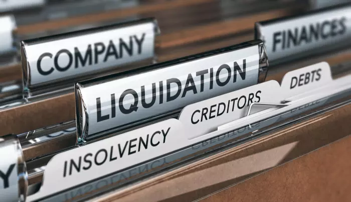 More than 90% of financially stressed companies in New Zealand are terminated through liquidation. Photo / Getty Images