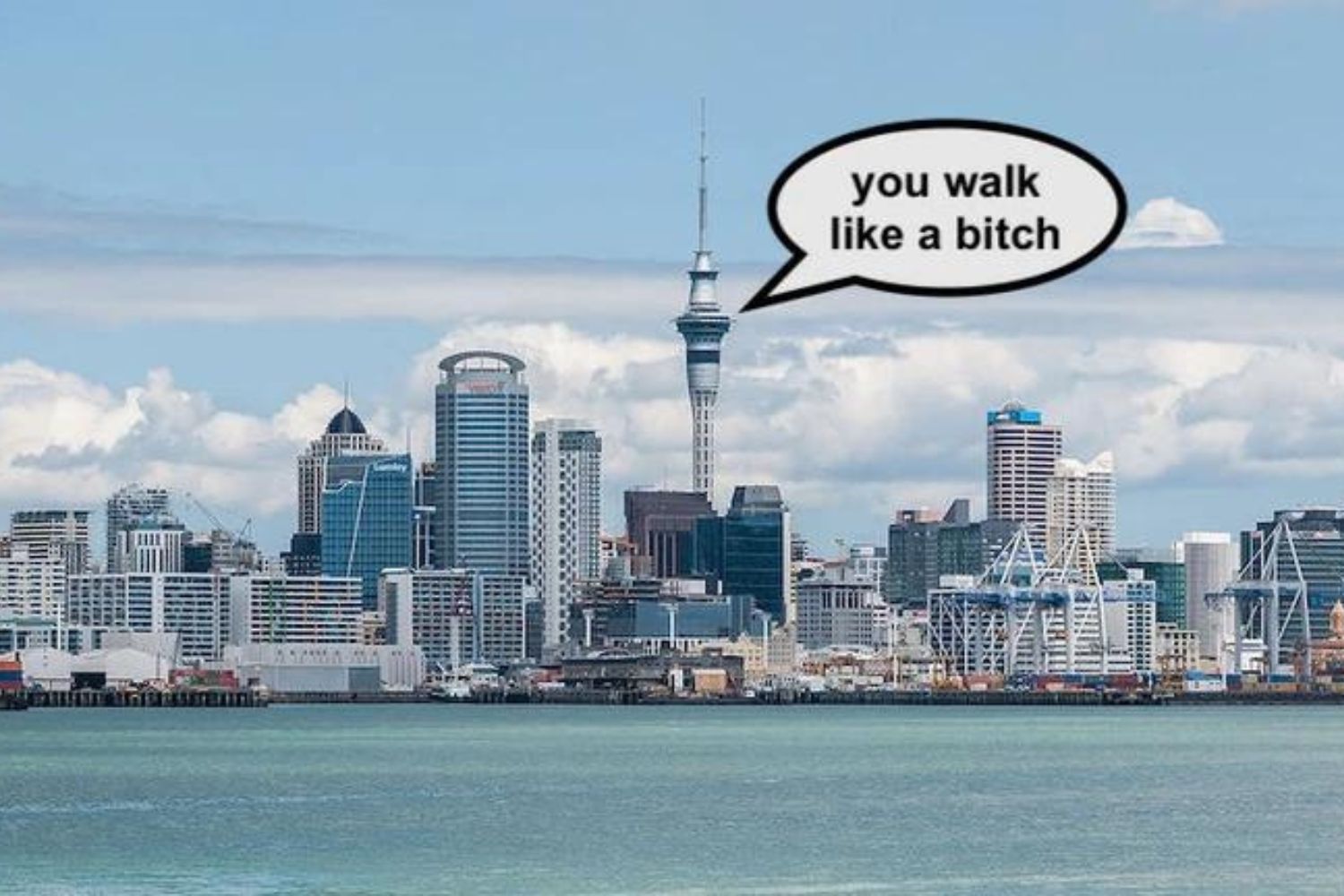 Who told Lorde she walks like a b***** in Auckland? Photo / The Spinoff