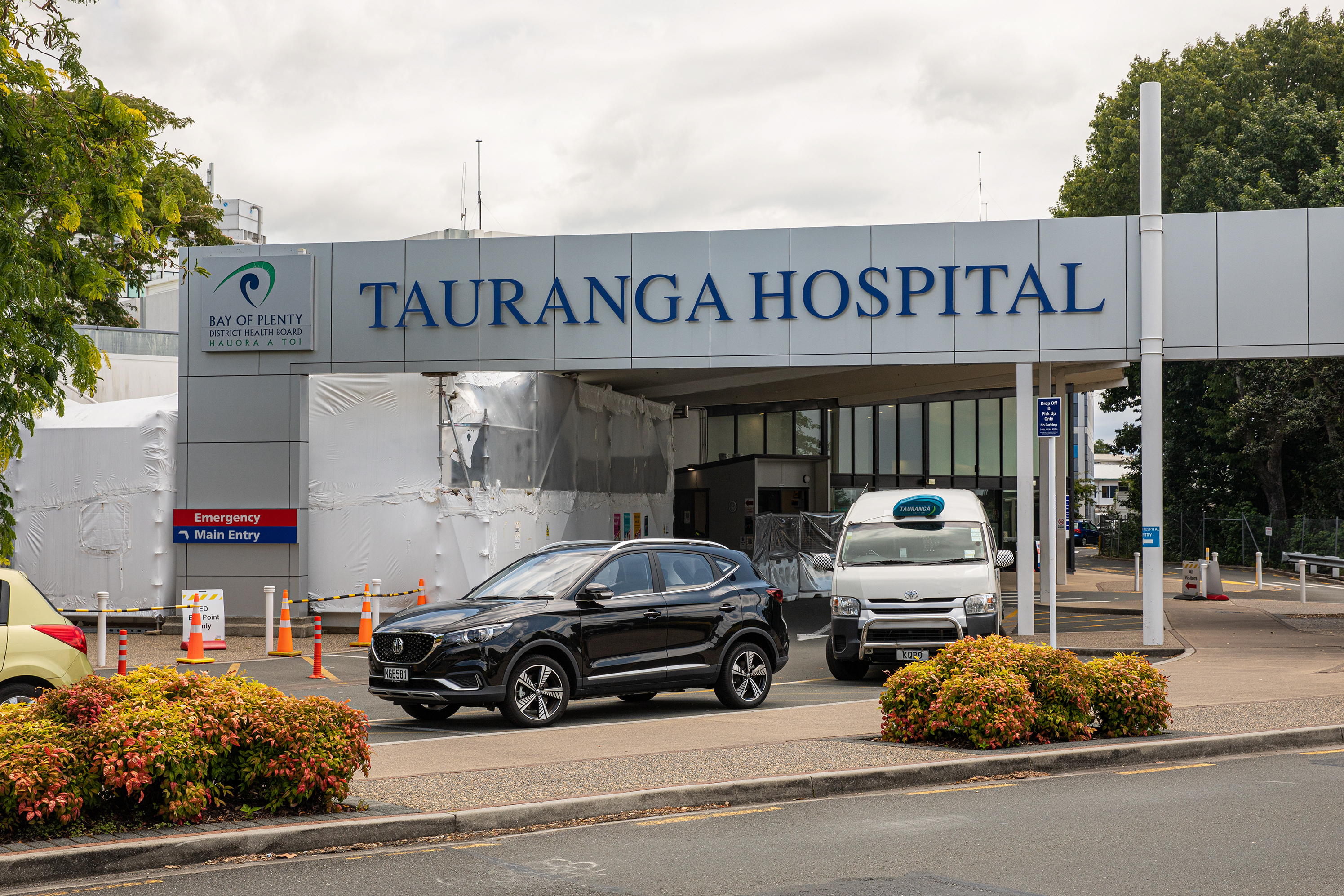 Celia Farnworth was diagnosed with ovarian cancer at Tauranga Hospital. Photo / Mead Norton