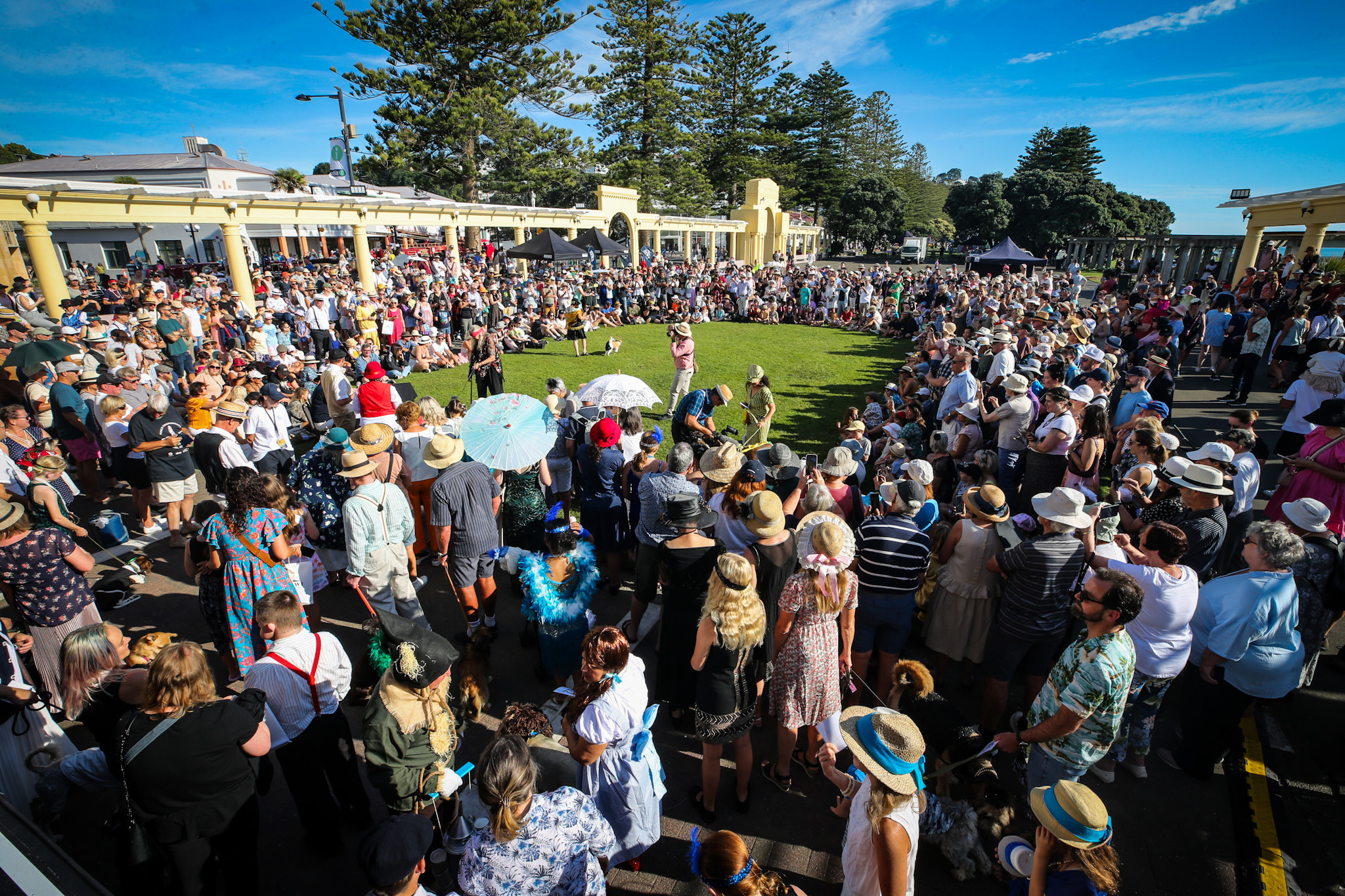 The dog show on Sunday at the Sound Shell. Photo / Paul Taylor