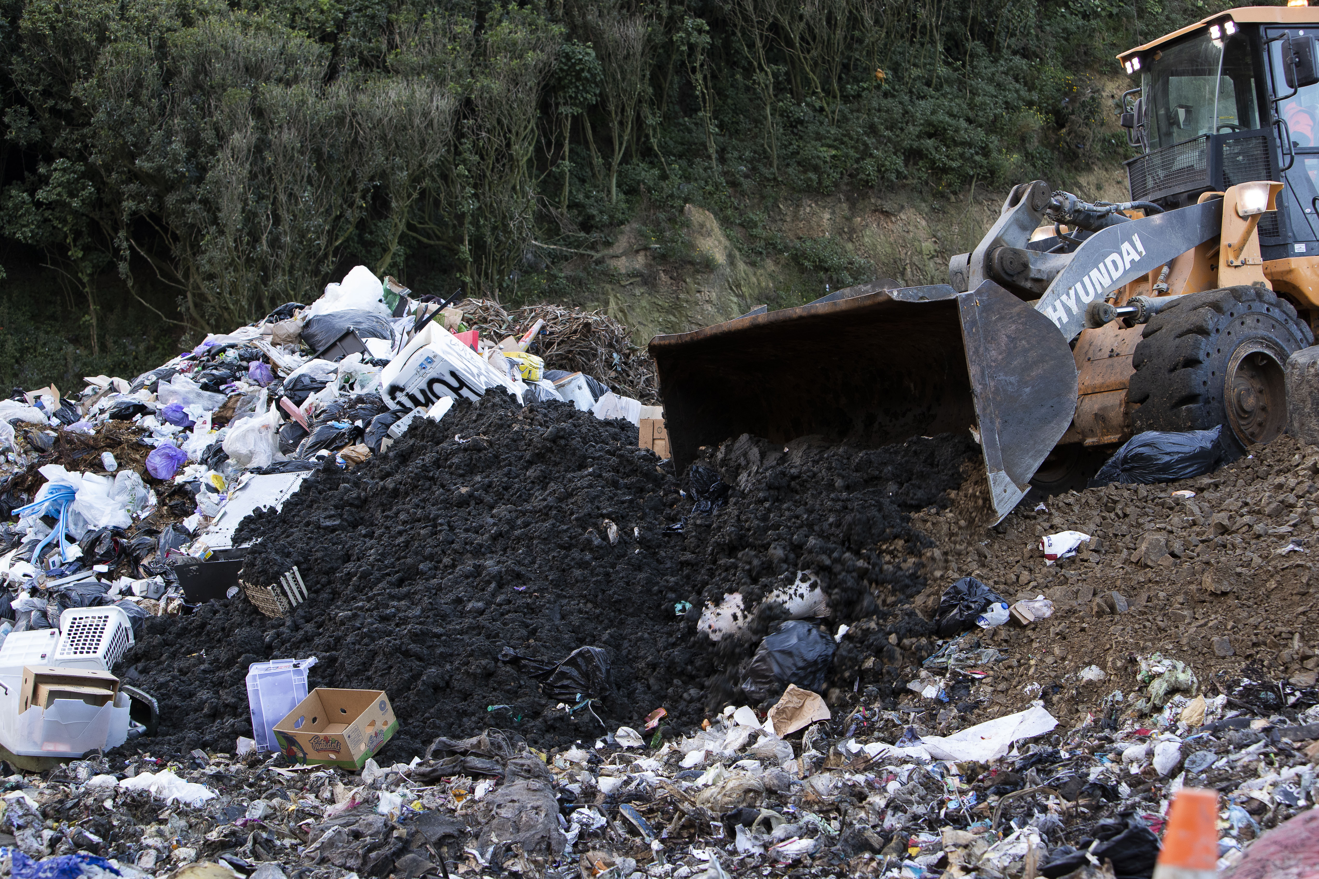 Wellington City Council currently disposes of sludge by mixing it with solid waste at the landfill. Photo / WCC