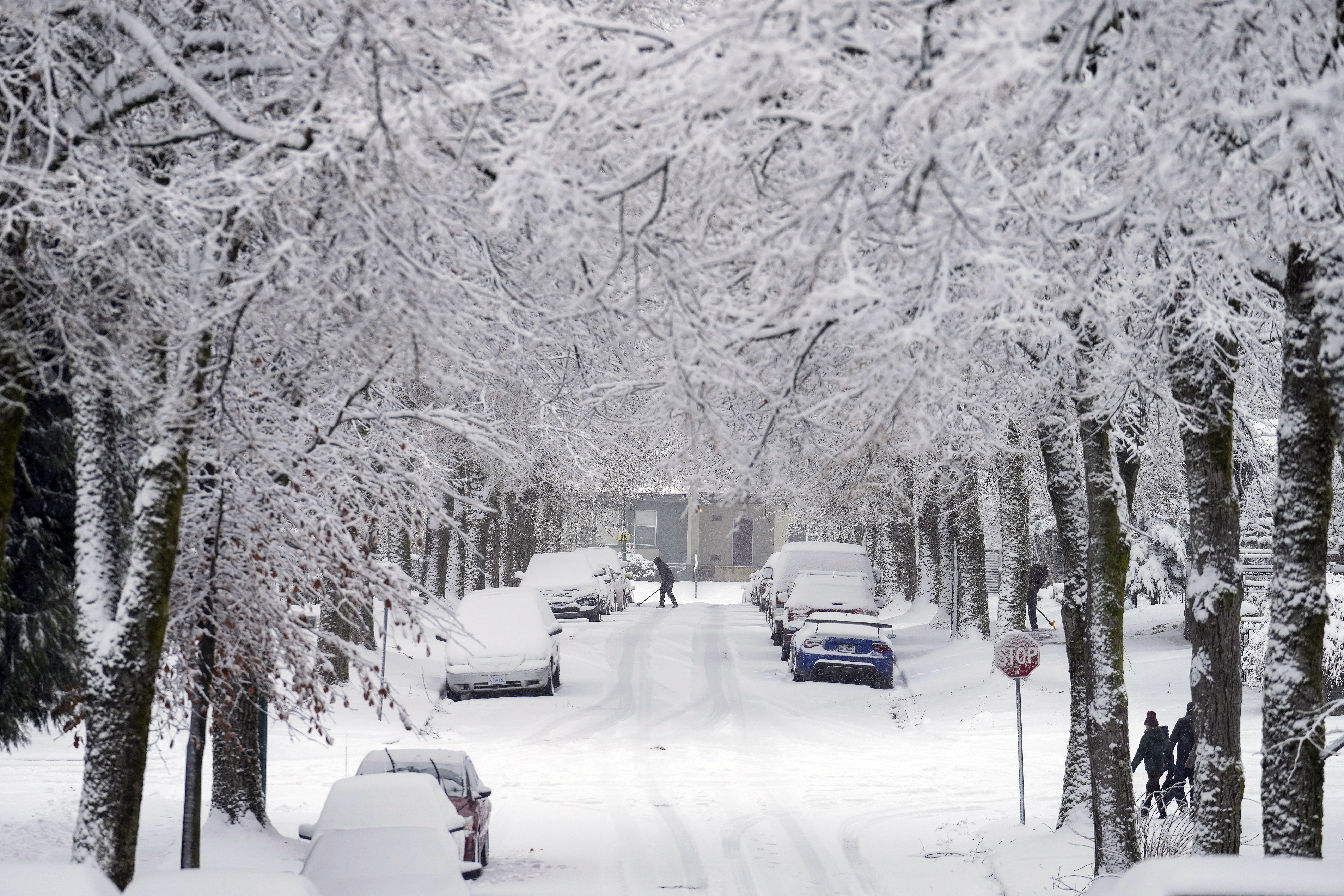 30cm of snow has fallen in Vancouver, Canada, as a result of an Arctic blast affecting a large part of the US and Canada. Photo / AP