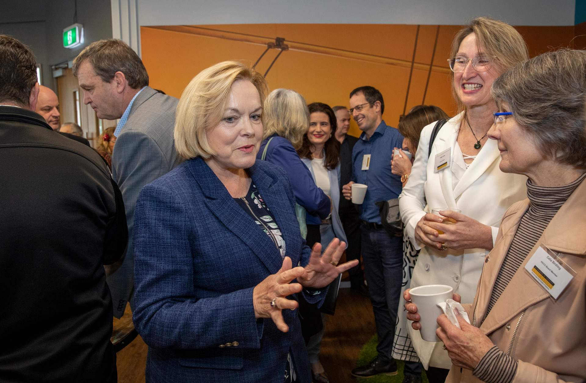 National leader Judith Collins speaking with Hutt Valley Chamber of Commerce members this morning. Photo / Mark Mitchell.