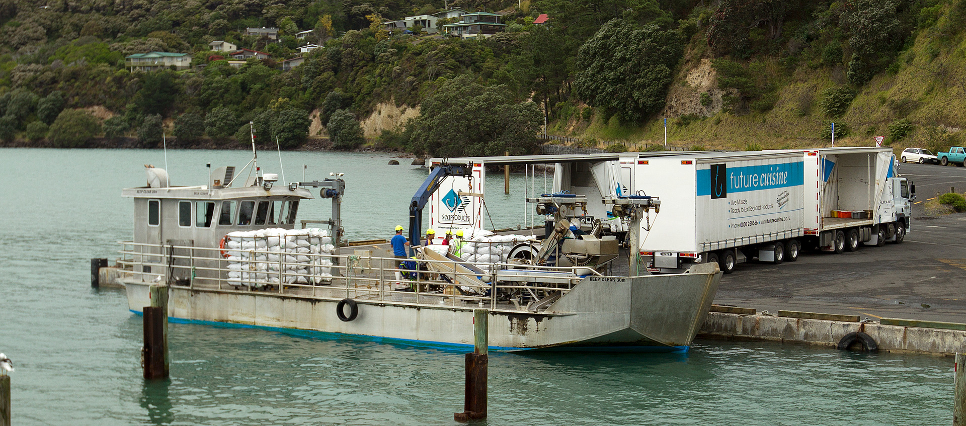 Mussels being unloaded on the wharf at Te Kouma, which is the main landing for the marine farms in the area. Photo / Alan Gibson