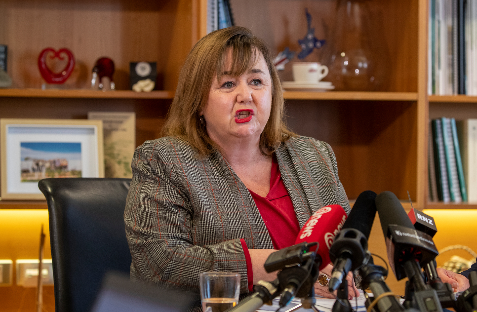 Housing Minister Dr Megan Woods wrote a letter to key National figures with the hope of working together again on housing density. Photo / Mark Mitchell