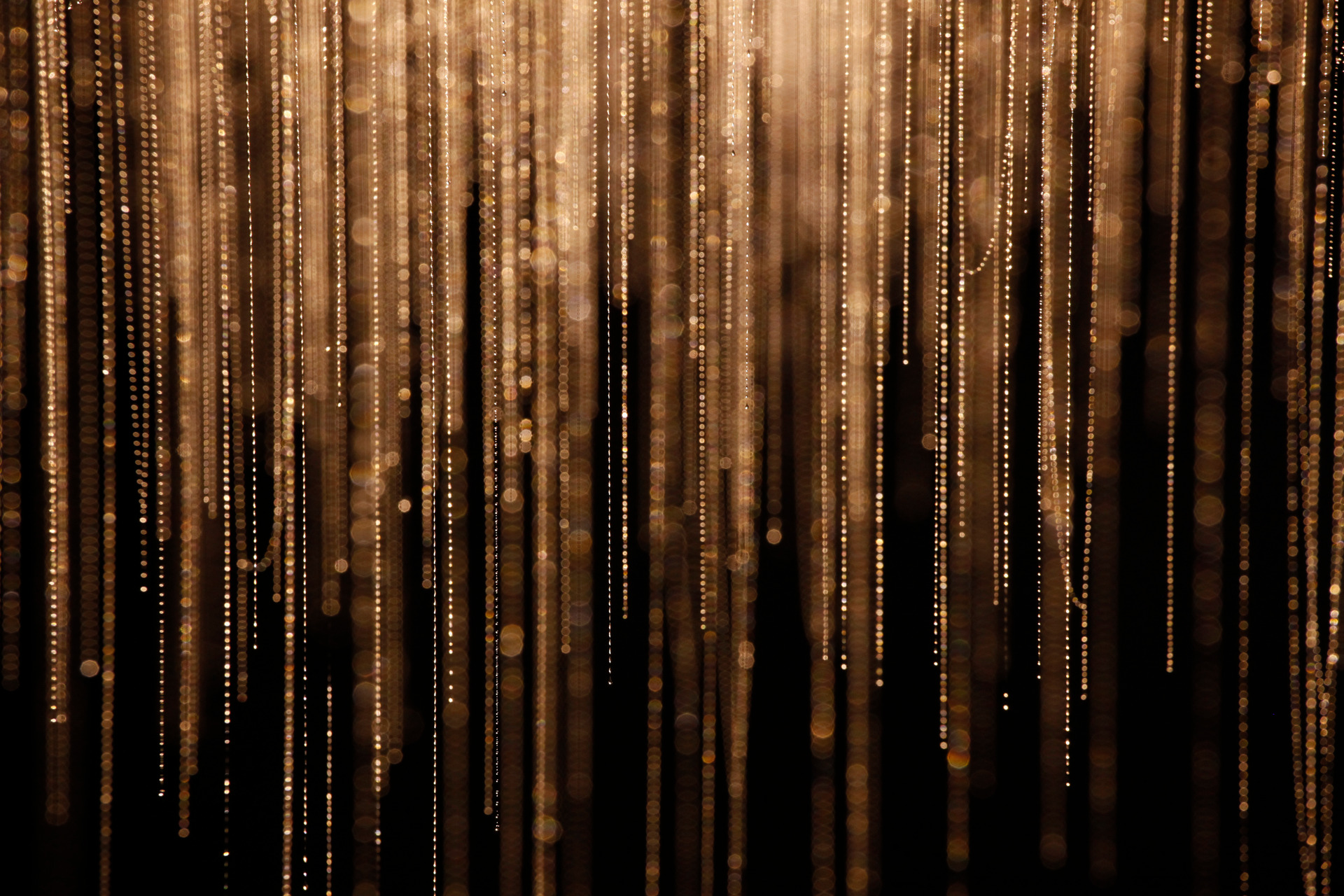 Waitomo Glowworm Caves has been a family favourite for years. Photo / Supplied