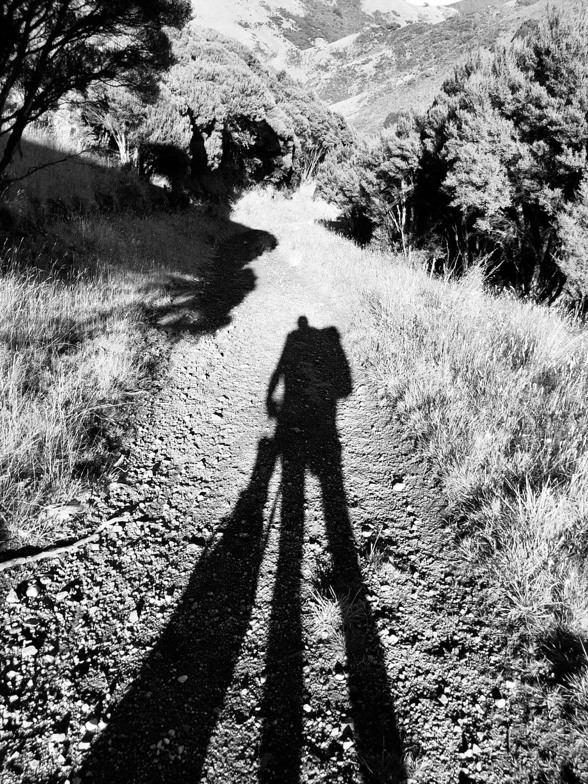 Shane Anderson and Missy are walking from Bluff to Cape Reinga.
