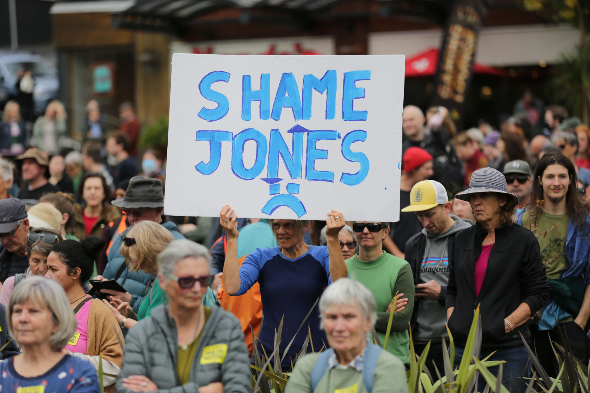 The Auckland protest against the Fast-Track Approvals BIll in Auckland on June 8.  Photo / Sylvie Whinray