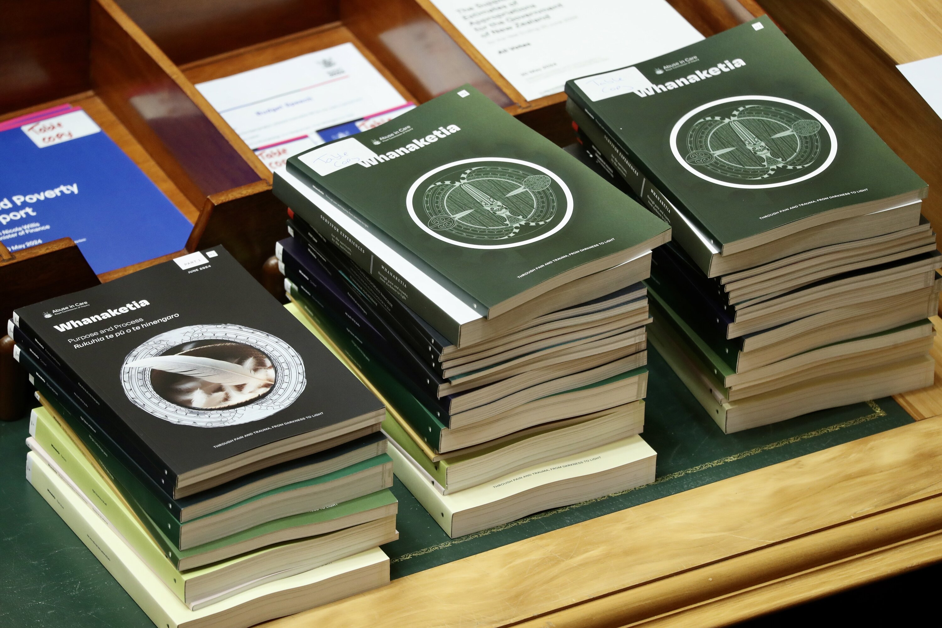 The Royal Commission of Inquiry's report into abuse in care was tabled before Parliament and made 138 recommendations. Photo / Mark Mitchell