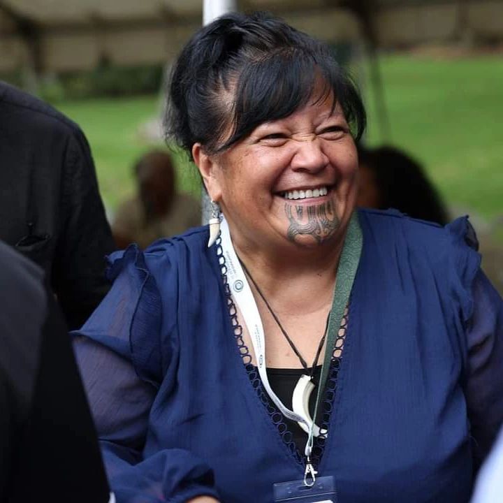Iwi leader and Te Pāti Māori Te Tai Tokerau candidate Mariameno Kapa-Kingi. Photo / Te Pāti Māori