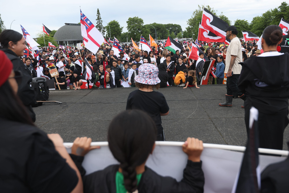 Hīkoi mō te Tiriti gathers at FMG Stadium in Hamilton this morning to march down Victoria street. Photo / Mike Scott