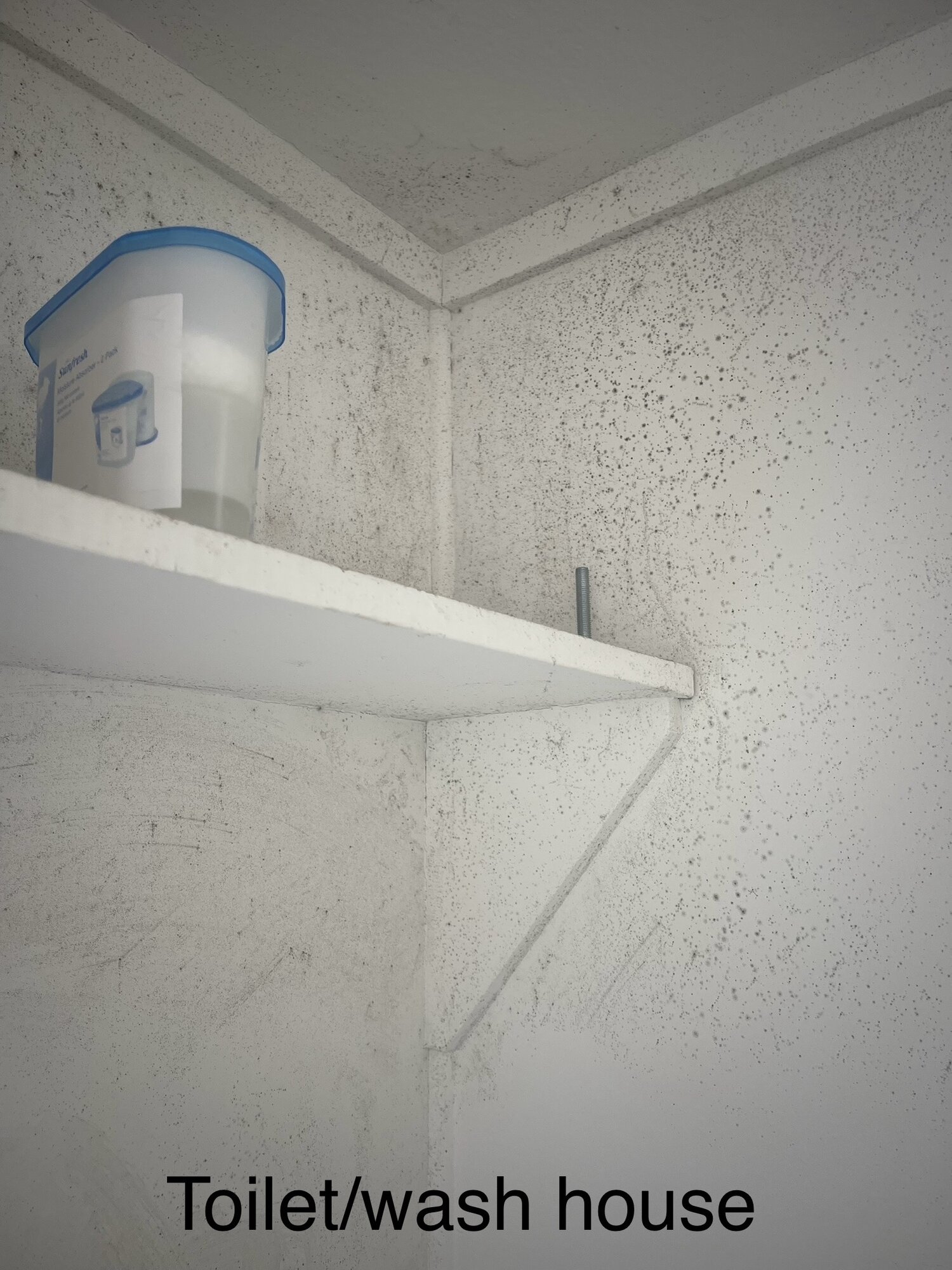 Black mould in the toilet at Montoya Fitimase's Māngere rental property.