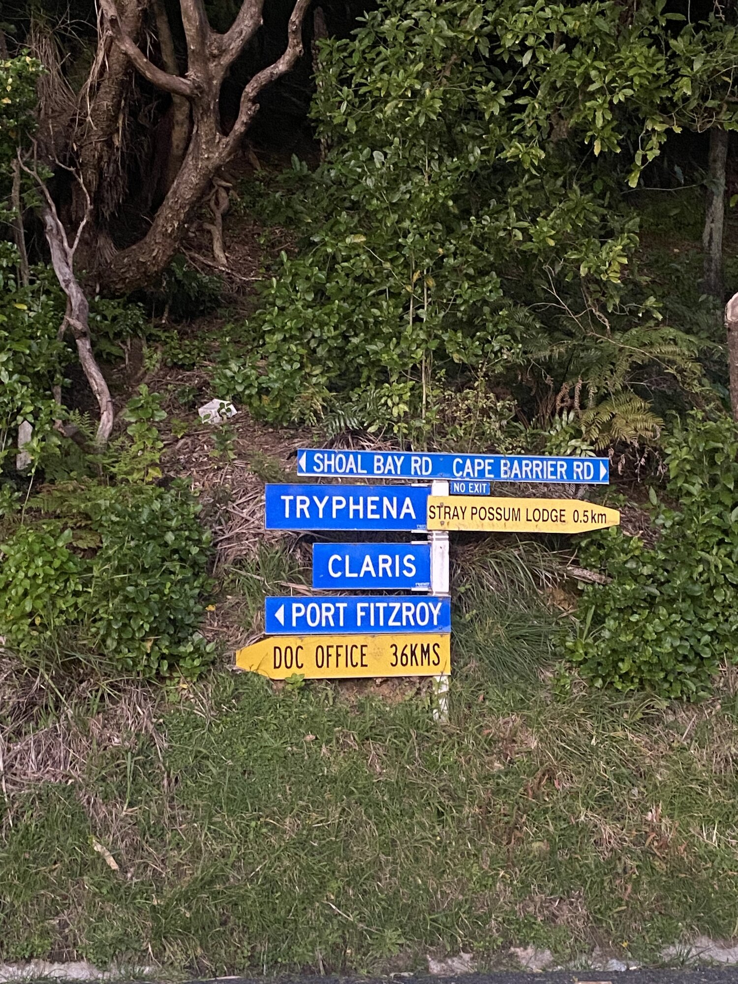 There's no public transport on the island but plenty to explore. Photo / Joanna Wane