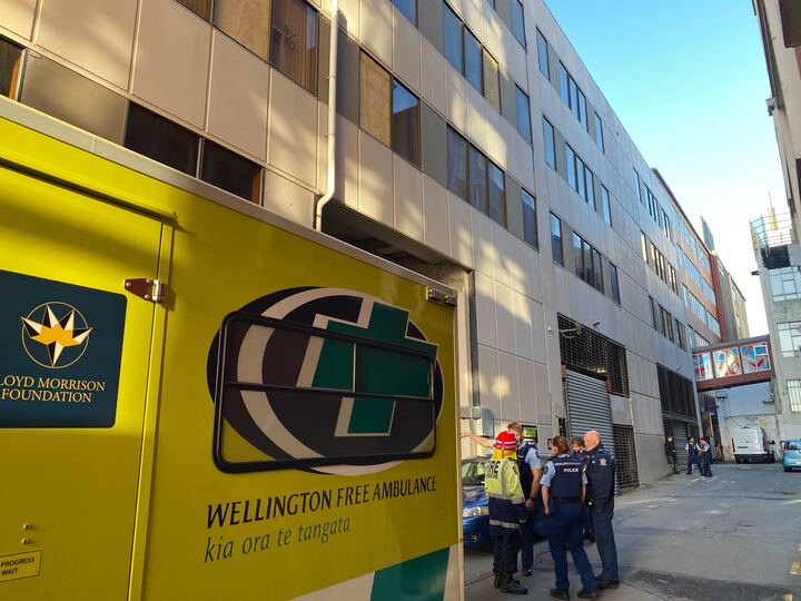 Emergency services outside Pringle House. Photo / Ethan Manera