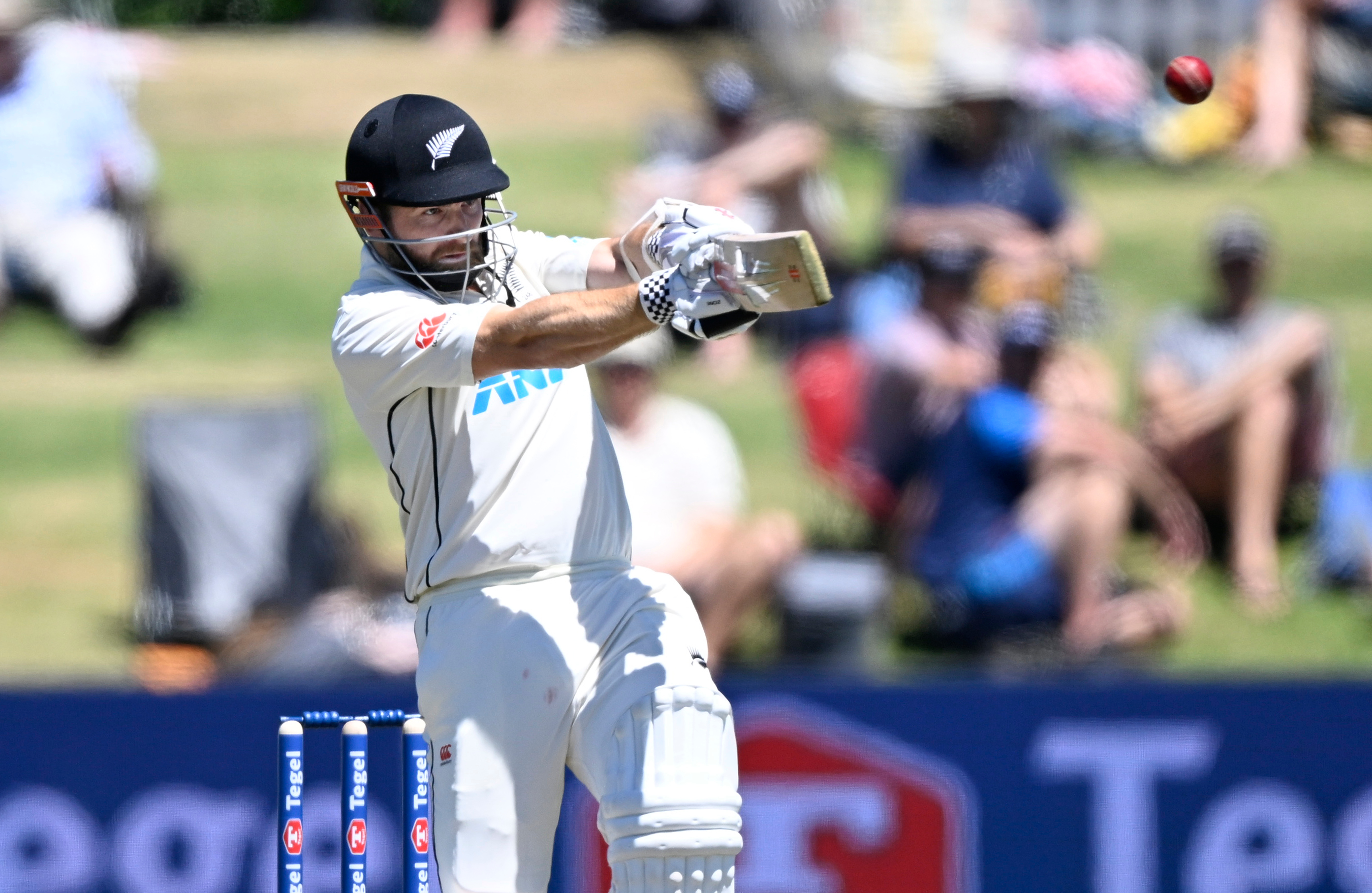 Kane Williamson in action against South Africa at Bay Oval. Photo / Photosport