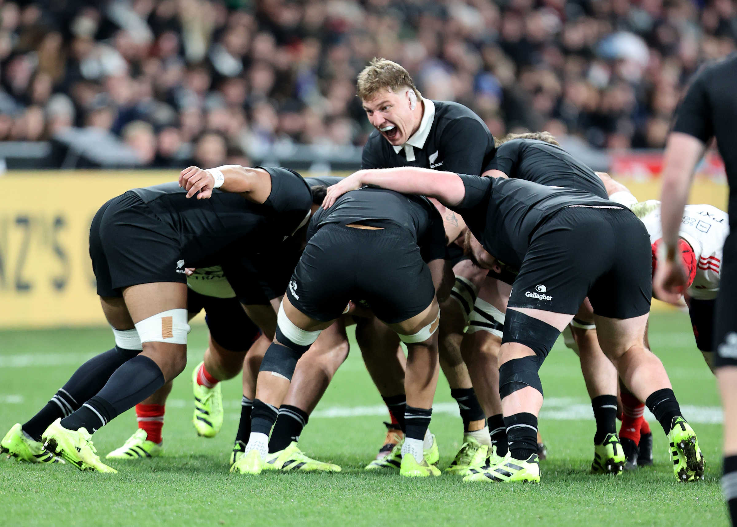 Fabian Holland urges his pack on during his debut test against France, in Dunedin. Photo / Photosport
