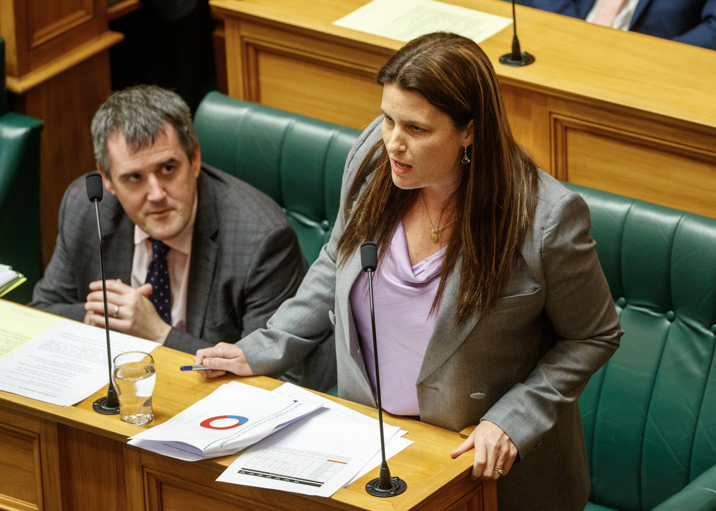 Finance Minister Nicola Willis would need to sign off an increase in funding to improve the police pay offer. Photo / Mark Mitchell
