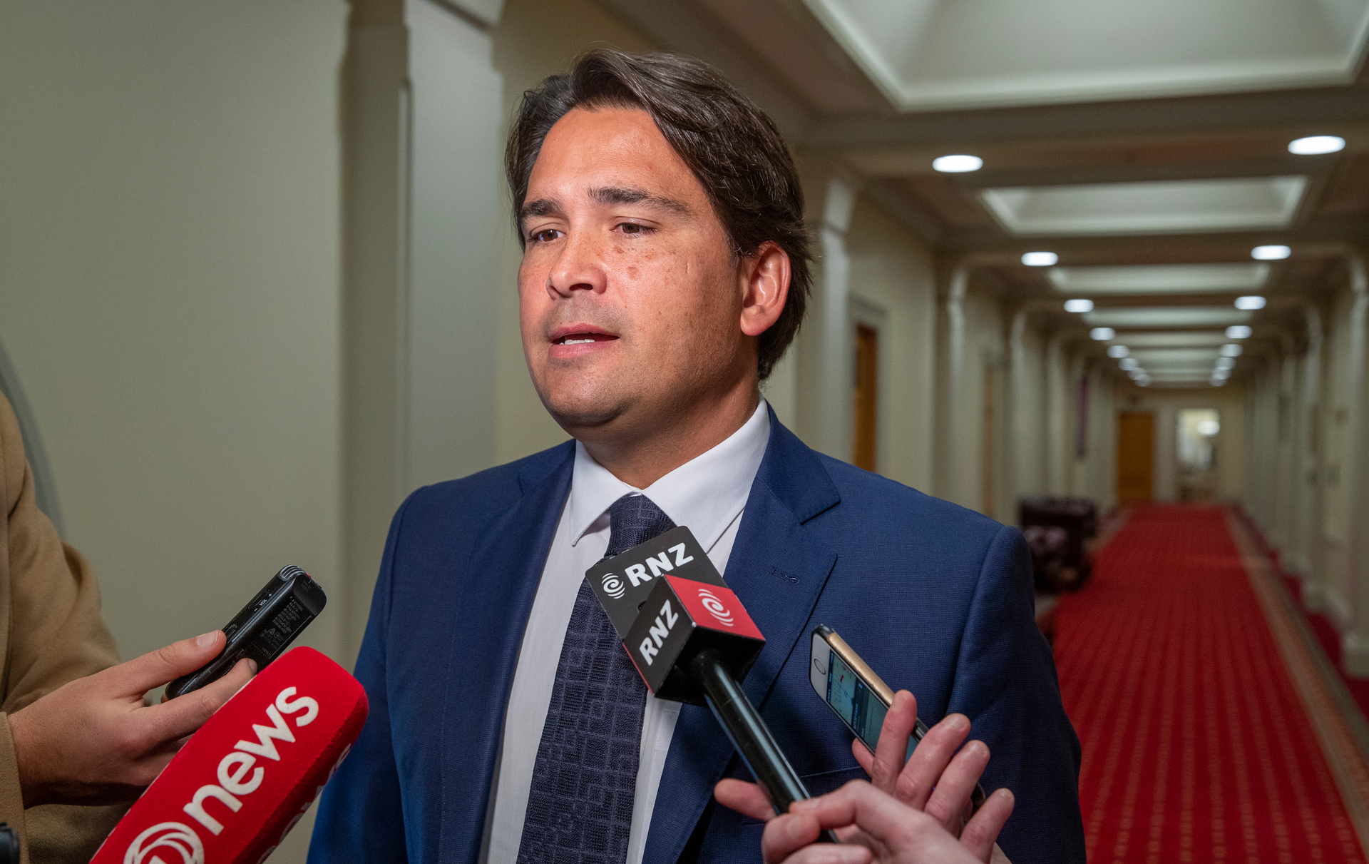 National MP Simon Bridges says Harry Tam isn't quite what he seems. Photo / Mark Mitchell
