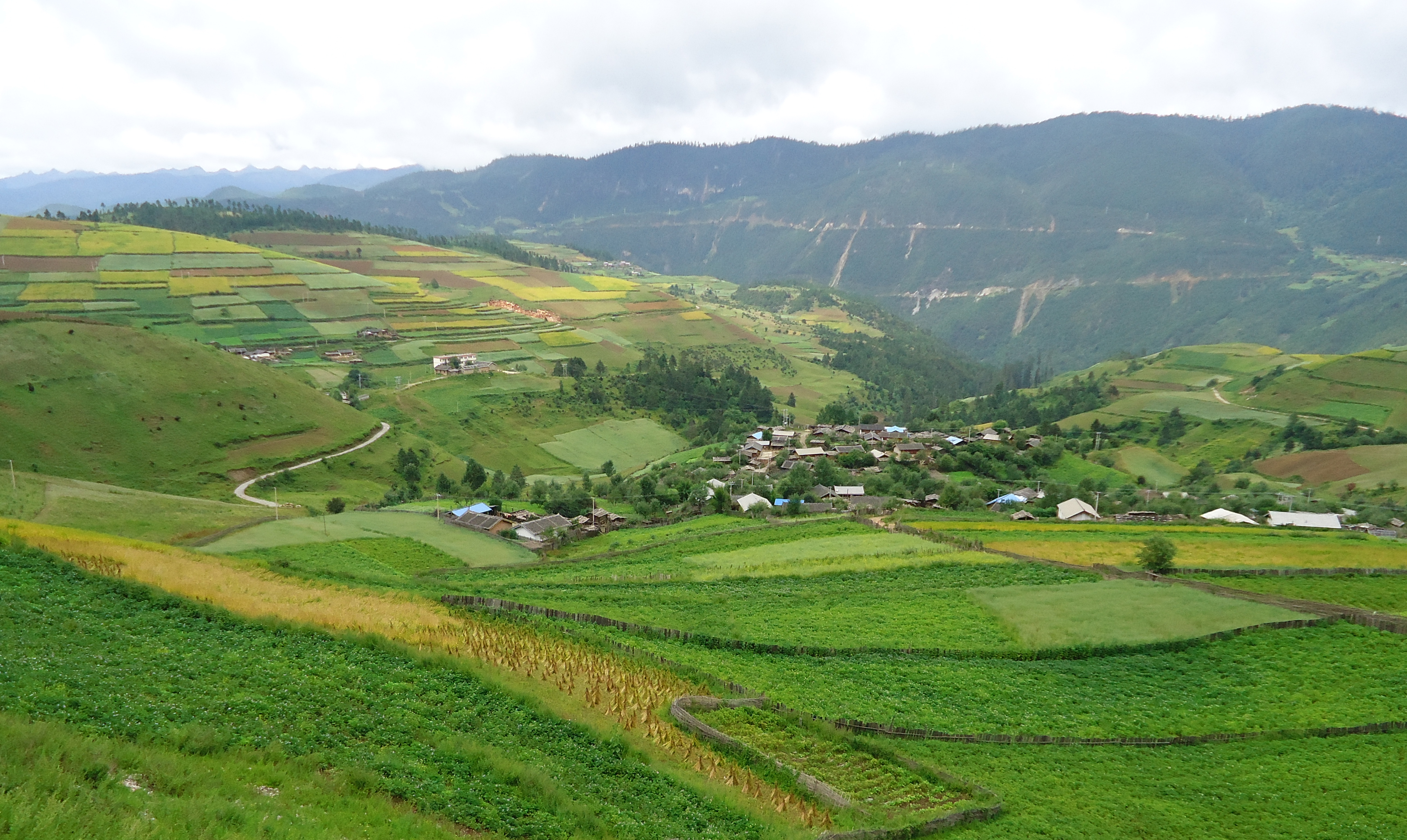 Yunnan is a major producer of rice, grains, tea and tobacco and hills throughout the region are covered in crops. Photo / Duncan Gillies