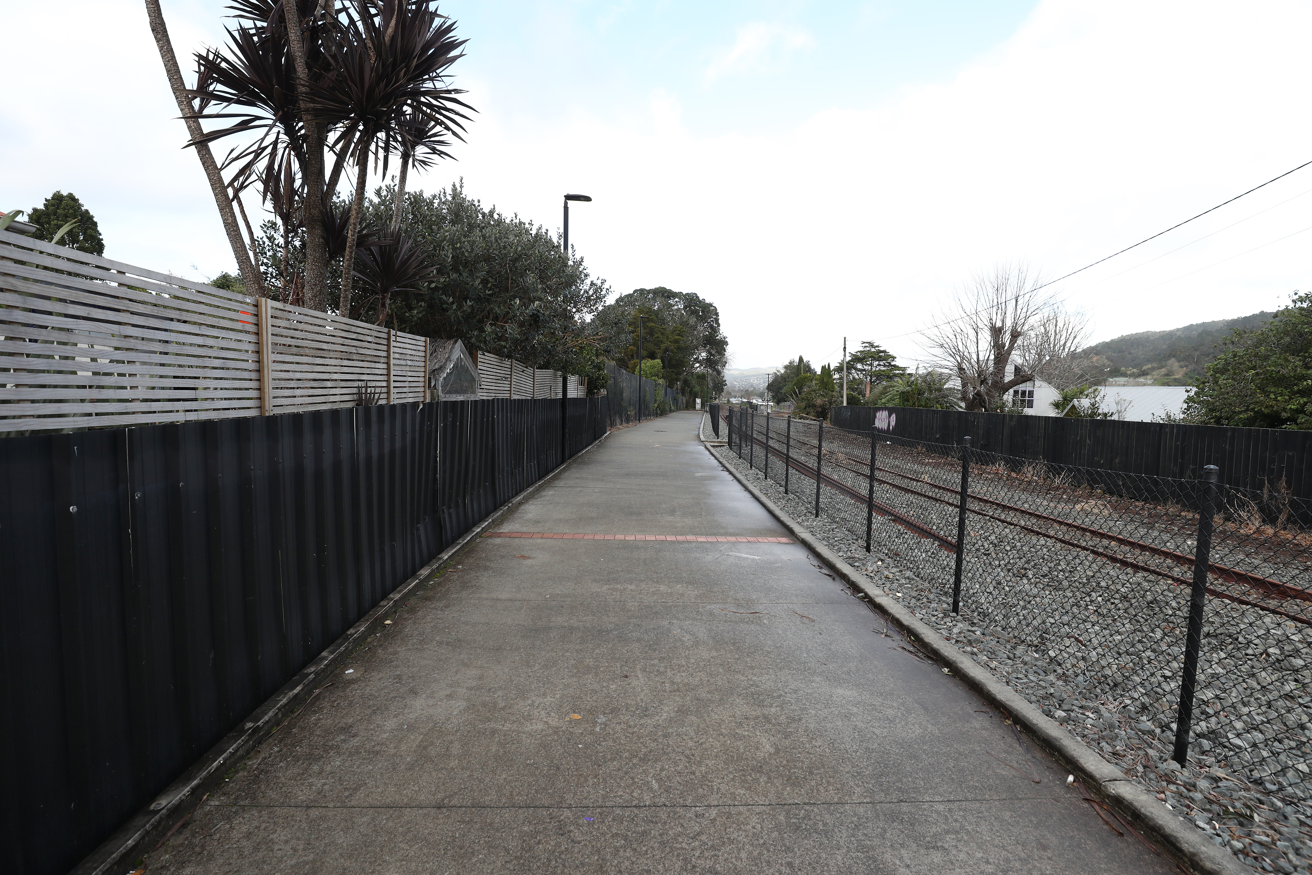 Two teens were seen pushing the elderly man on a shared pathway. Photo / Michael Cunningham