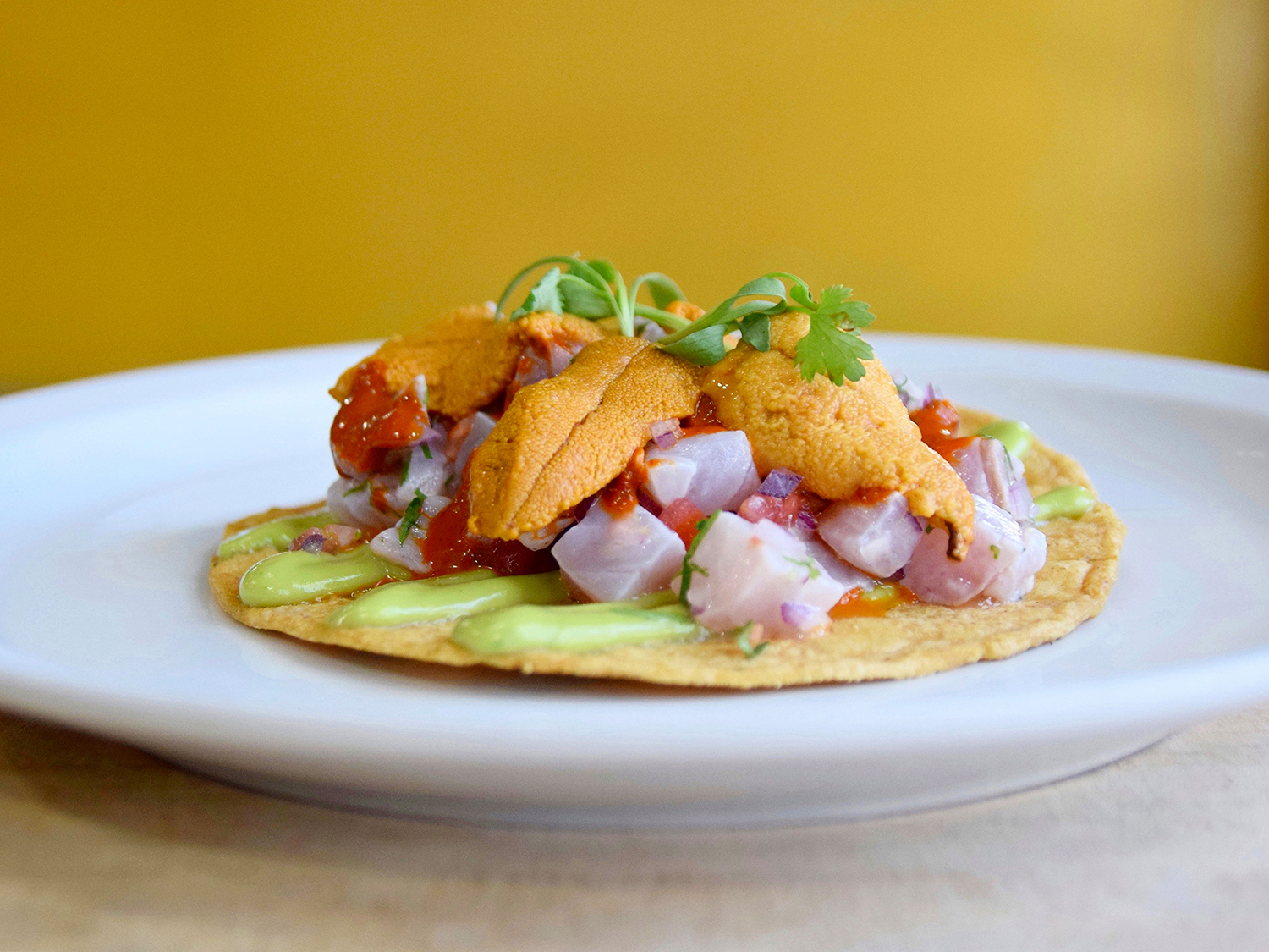 A fish tostada at Holbox, a Mexican restaurant in Los Angeles. Photo / Peter Cheng via The New York Times



