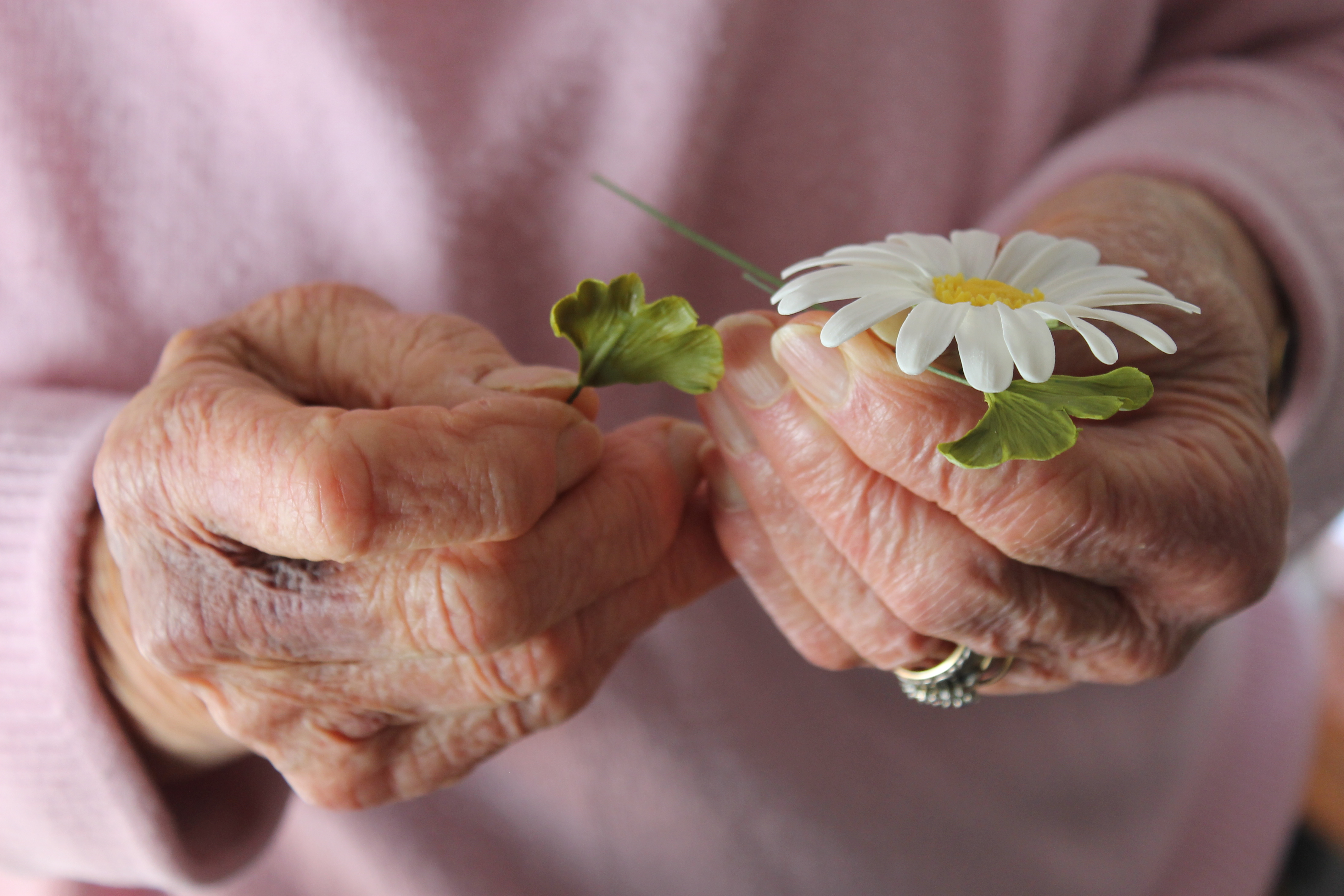 My grandmother's hands and handiwork. Photo / Kim Knight