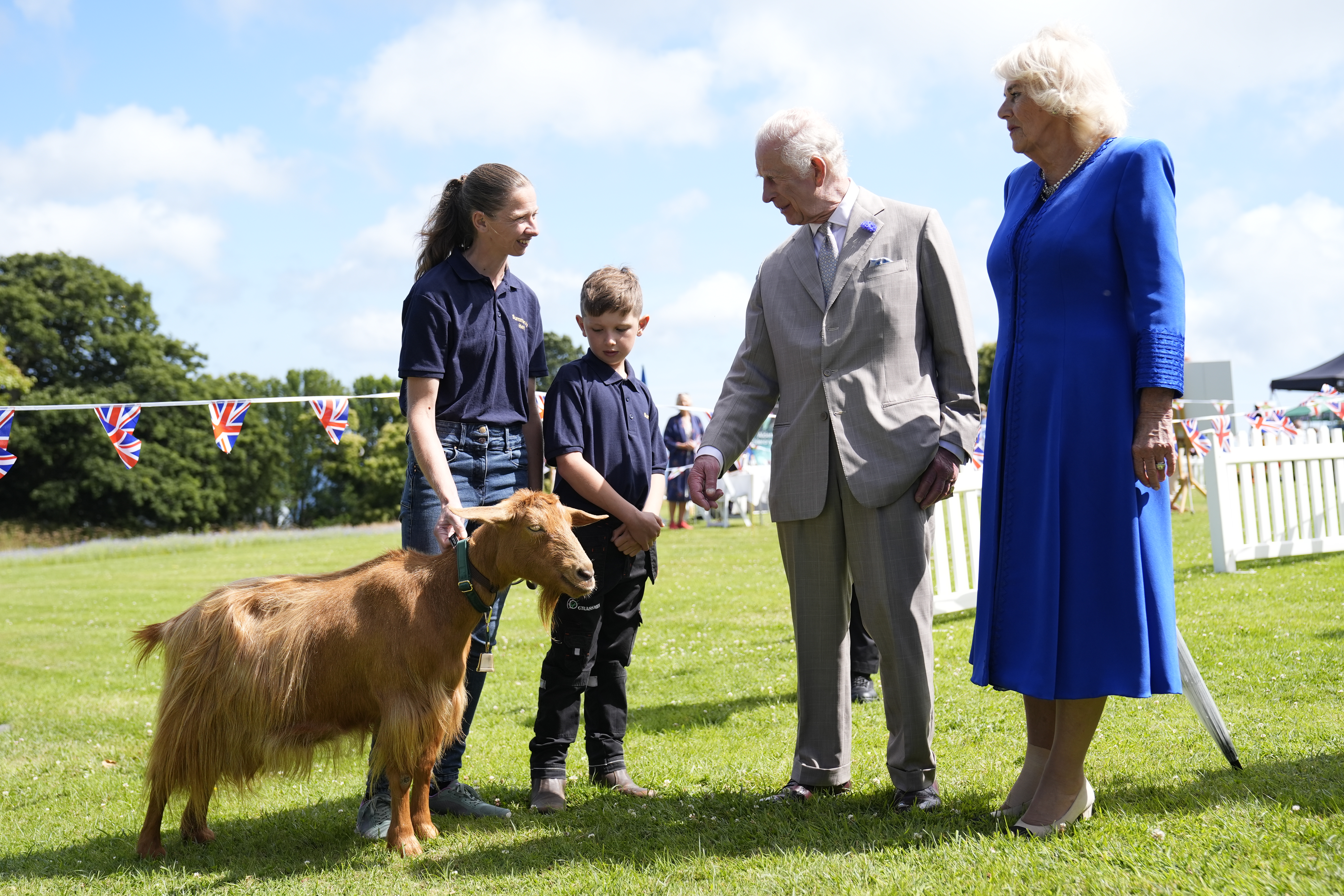 Endangered Golden Guernsey Goat has been renamed the Royal Golden Guernsey Goat during Their Majesties visit to the island. Photo / Getty Images