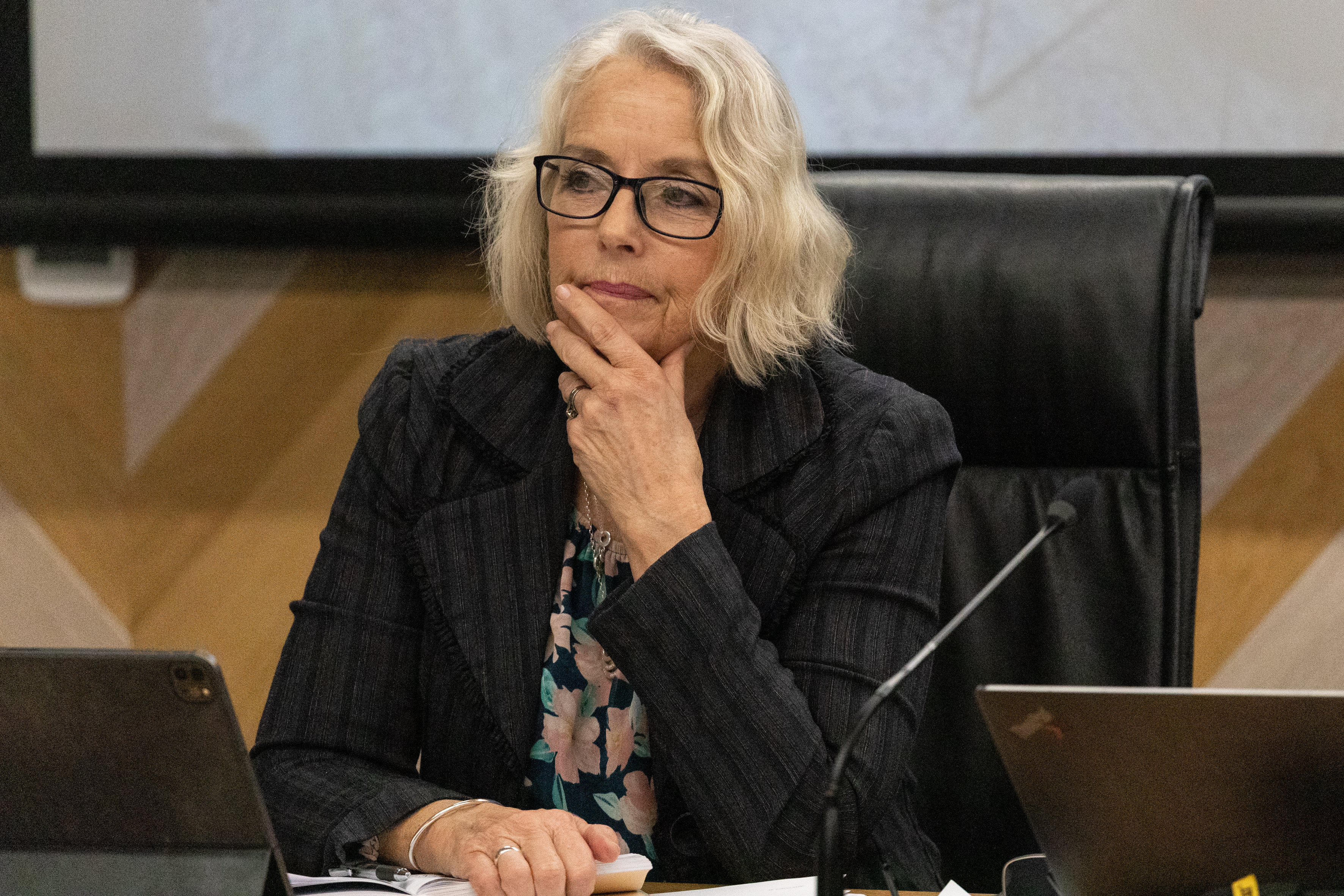 Bay of Plenty regional councillor Jane Nees questions Waka Kotahi New Zealand Transport Agency's plan to help ease Tauranga's congestion, part of its Tauriko plans. Photo / Alex Cairns