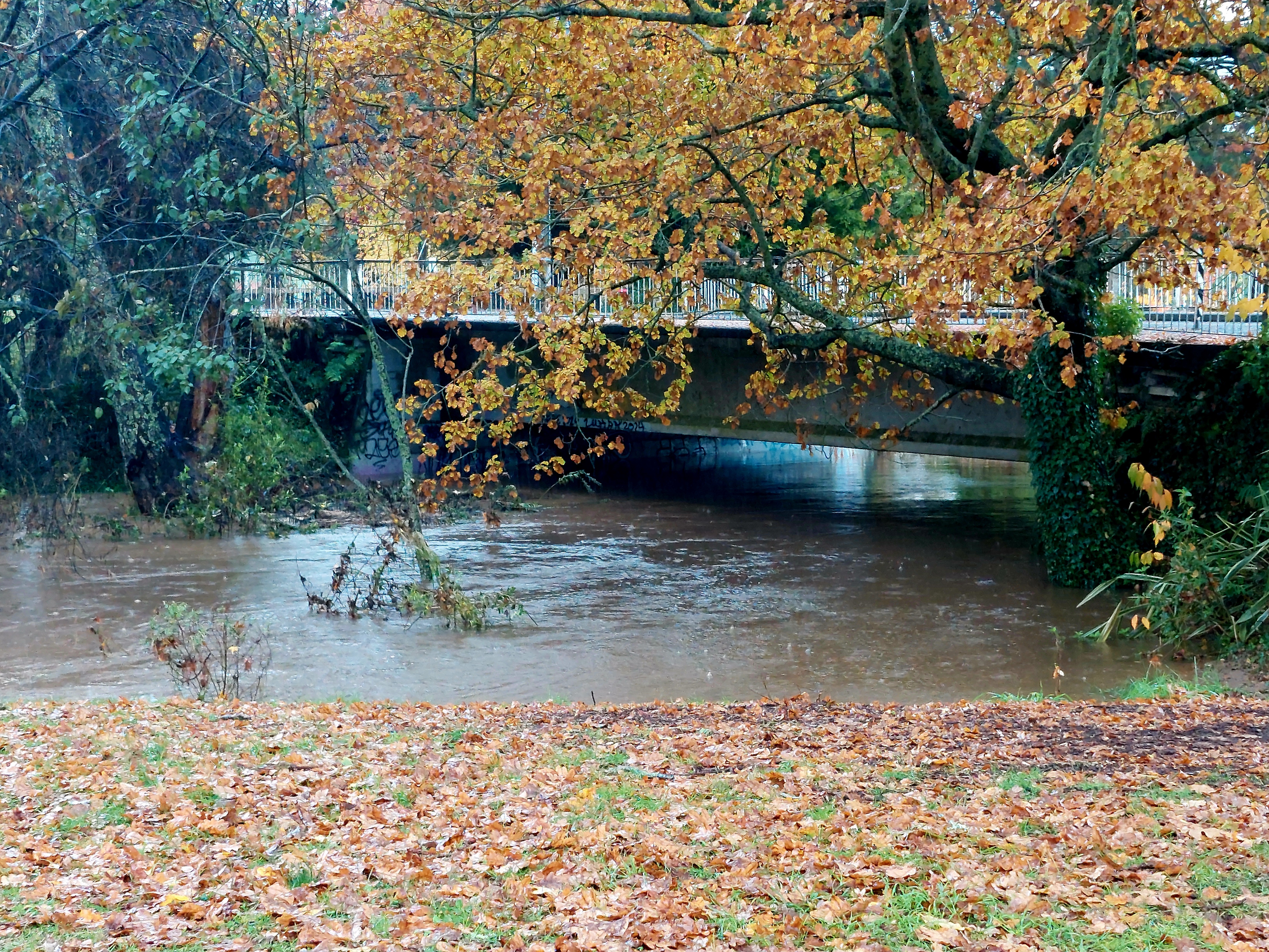 Utuhina Stream in Rotorua running at high levels on Tuesday. Photo / Ben Fraser