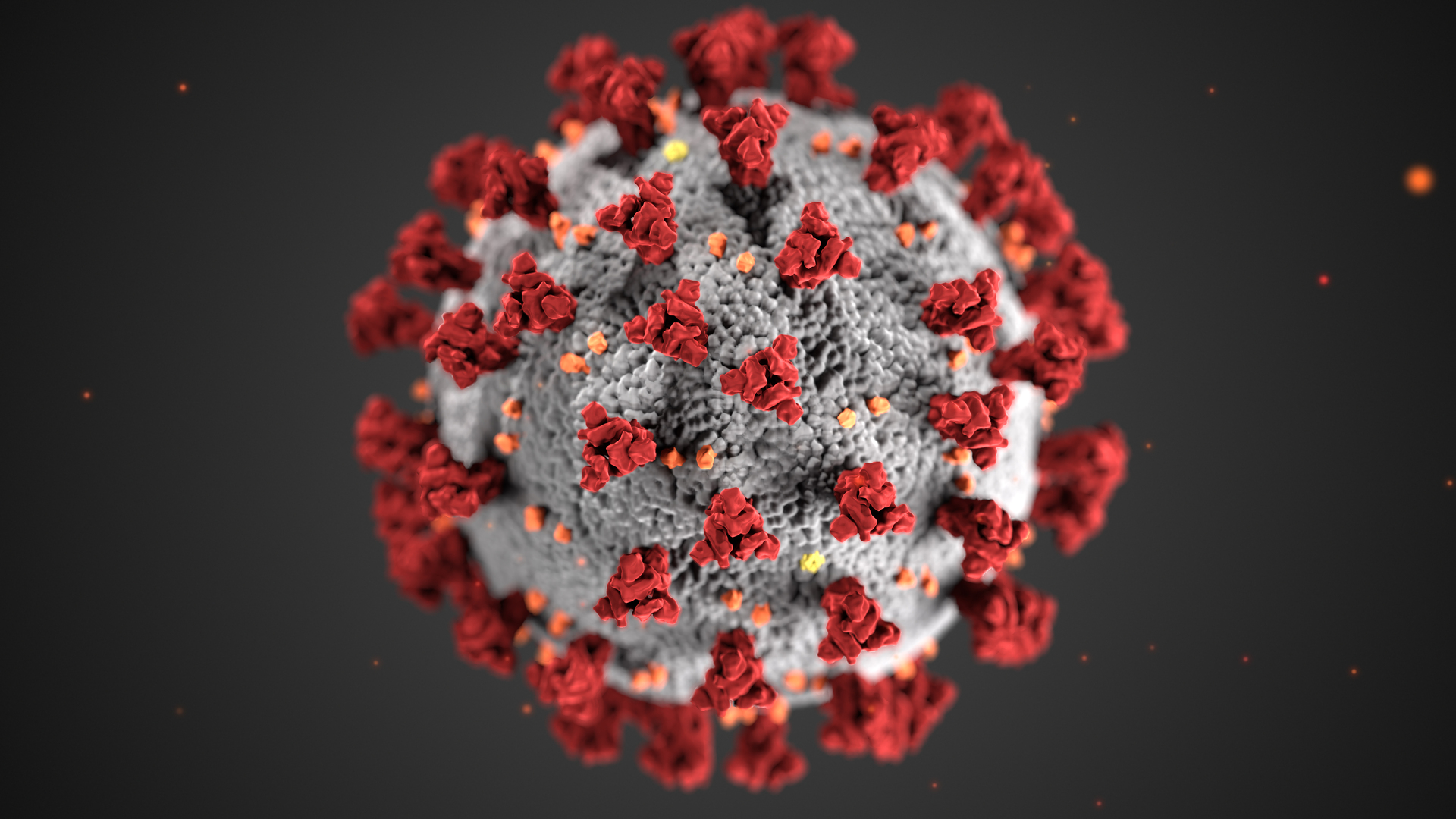 The Omicron off-shoot BA.2.86 - whose 36 mutations set it well apart from its closest relative - has been spreading around the world since it was first discovered in Denmark and Israel in late July.