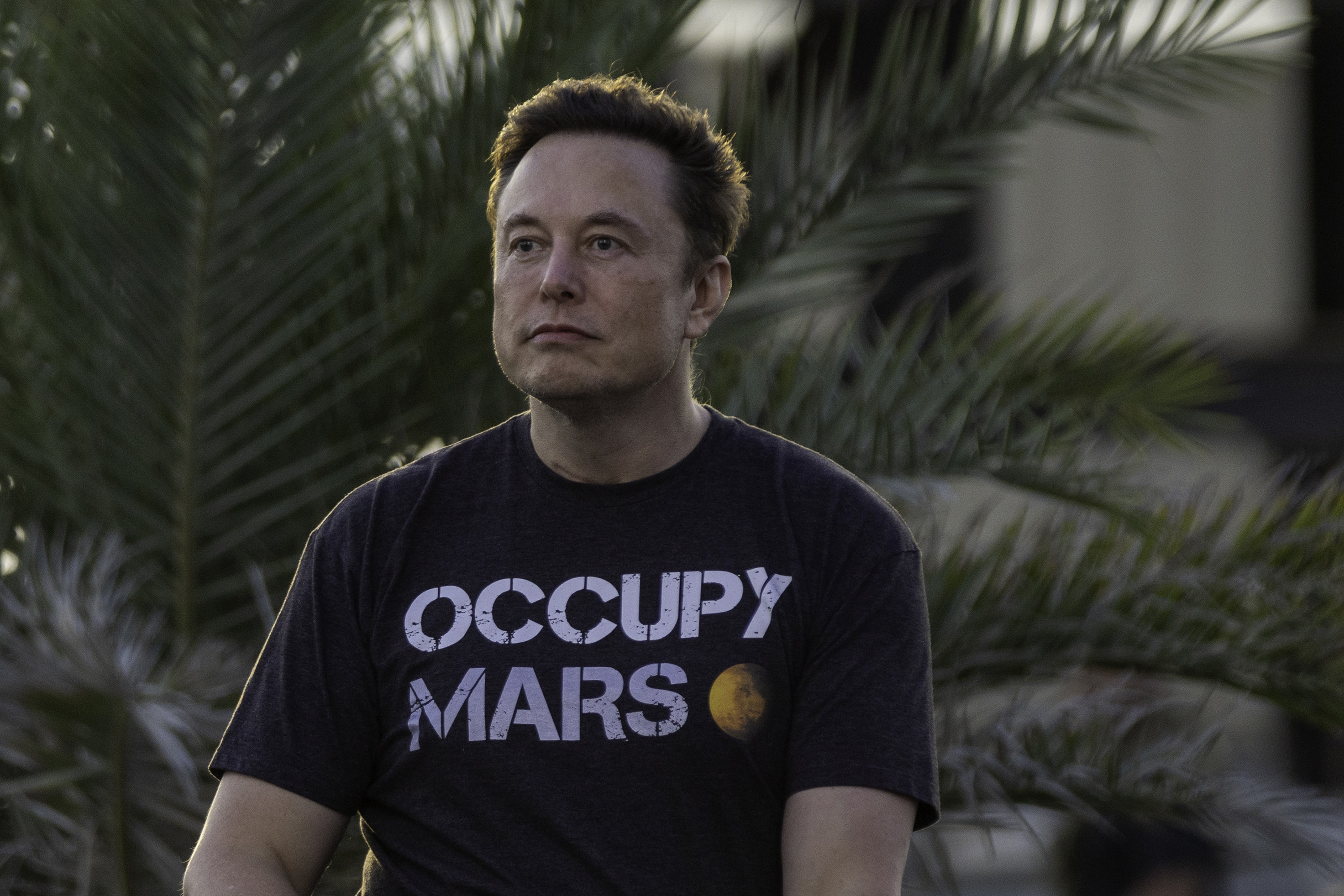 Starlink – a division of Elon Musk's SpaceX – earned more than $100 million from New Zealand last year. Photo / Getty Images